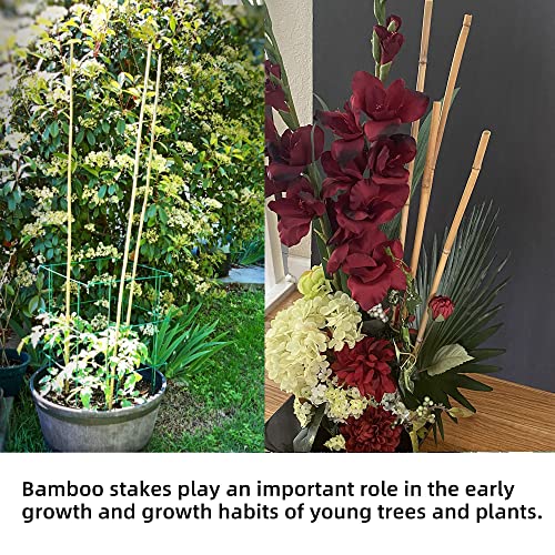 50Pcs Garden Stakes, 0.32”/ 2Feet Bamboo Sticks，Natural Plant Stakes for Indoor and Outdoor Plants，Poles for Tomatoes, Beans, Potted Plants…