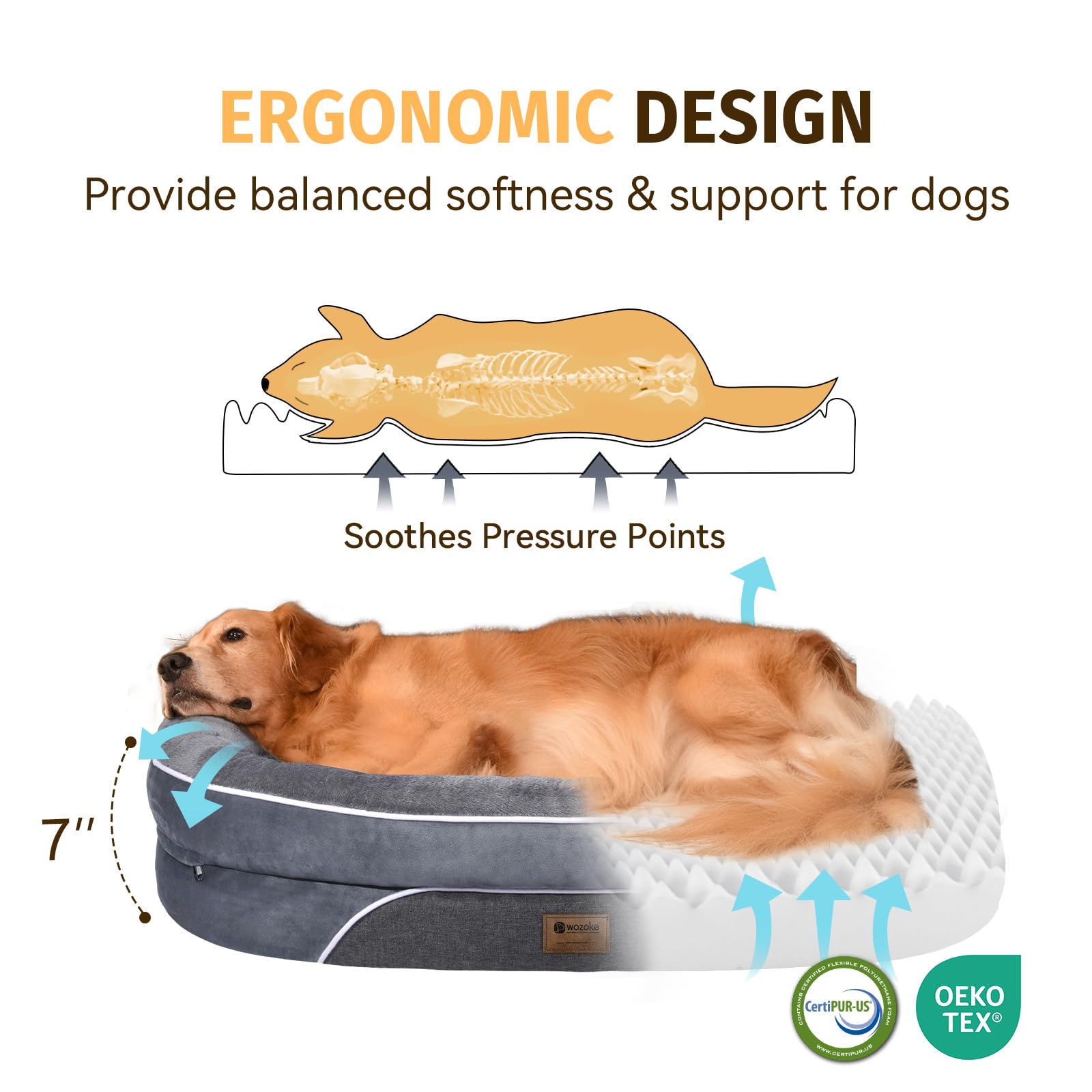 Orthopedic Waterproof Large Dog Bed: Washable Dog Bed with Bolsters - Removable Orthopedic Dog Bed for Medium L XL Large Sized Dog - Non-Slip Pet Bed