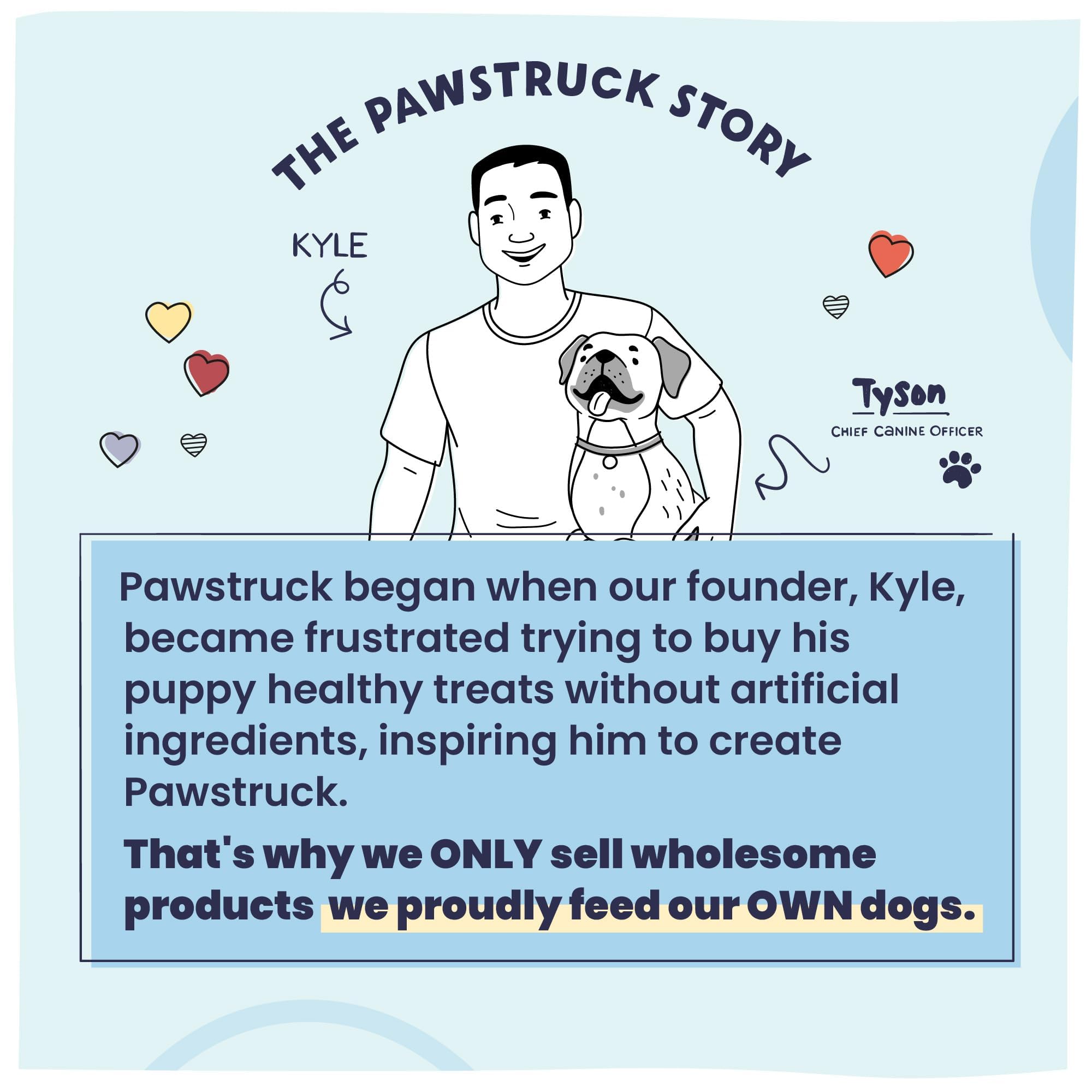 Pawstruck All Natural Air Dried Dog Food w/Real Beef - Grain Free, Made in USA, Non-GMO & Vet Recommended - High Protein Limited Ingredient Wholesome Full-Feed - for All Breeds & Ages - 2lb Bag