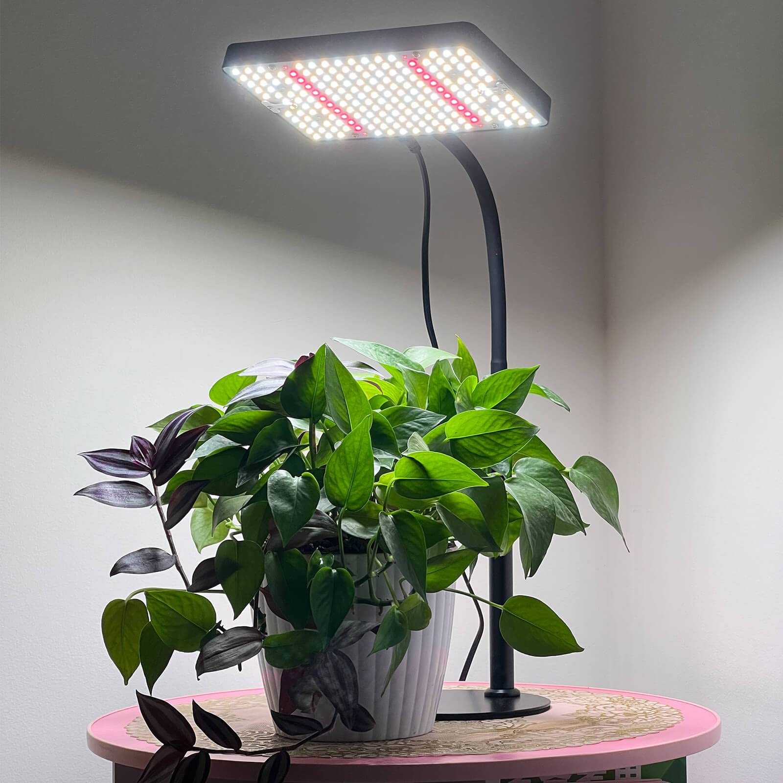 FRGROW Grow Lights for Indoor Plants Full Spectrum, 200W LED Grow Lights Table Top Plant Lights for Indoor Growing, 208 LEDs Desk Grow Lights for Seed Starting Seedlings, Daisy Chain, Dimmable Height