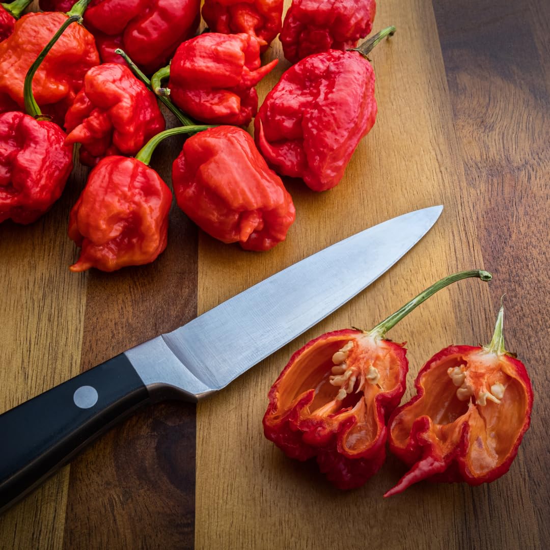 Birch & Meadow Whole Carolina Reaper Peppers, 16 Count, Whole & Dried, Extremely Hot, 1.5 Million SHUs