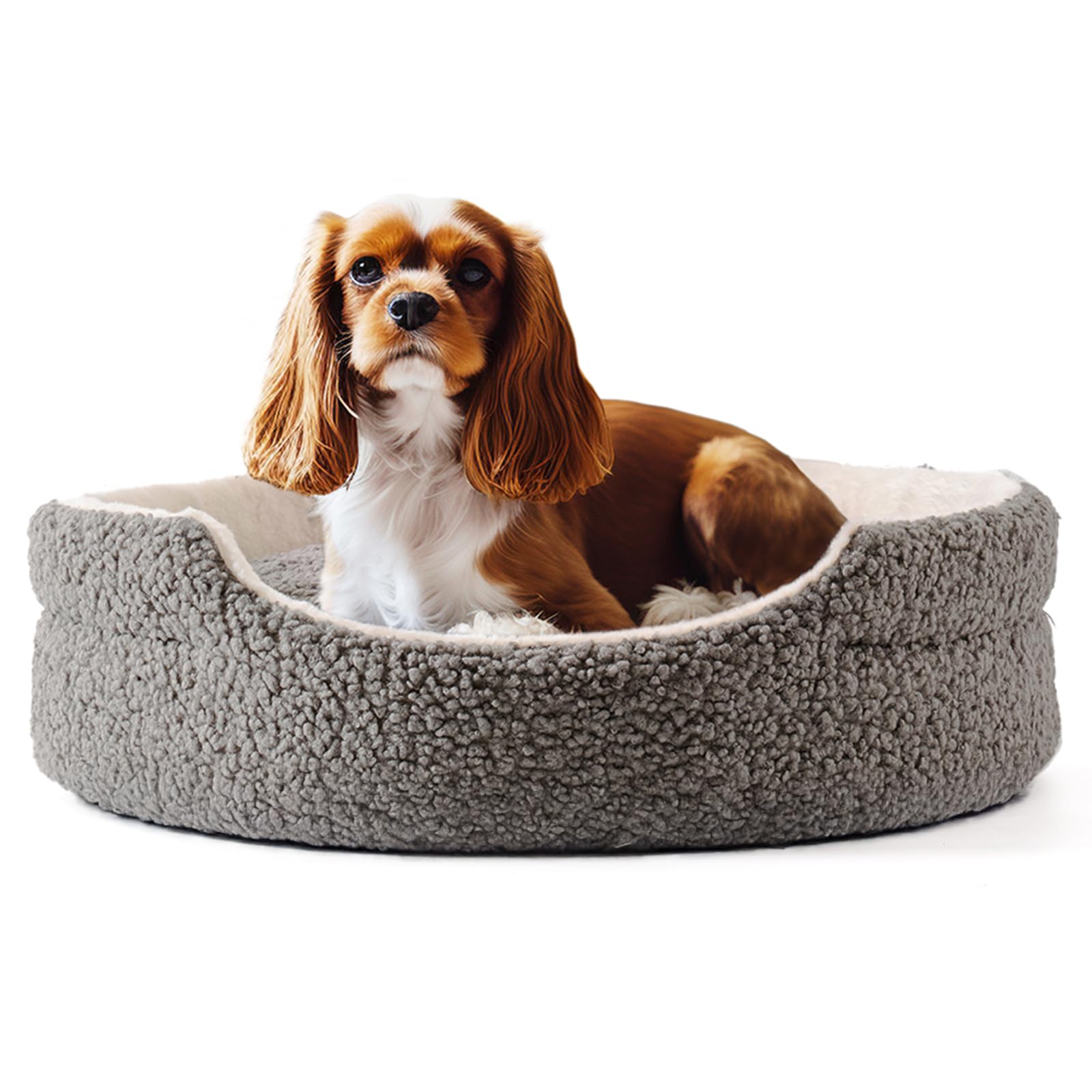 Mewoo Dog Beds for Small Dogs Cat Beds for Indoor Cats, Washable Pet Bed for Kitten and Puppy with Non-Slip Bottom (Grey, 23.0" L X 23.0" W X 7.0" Th)