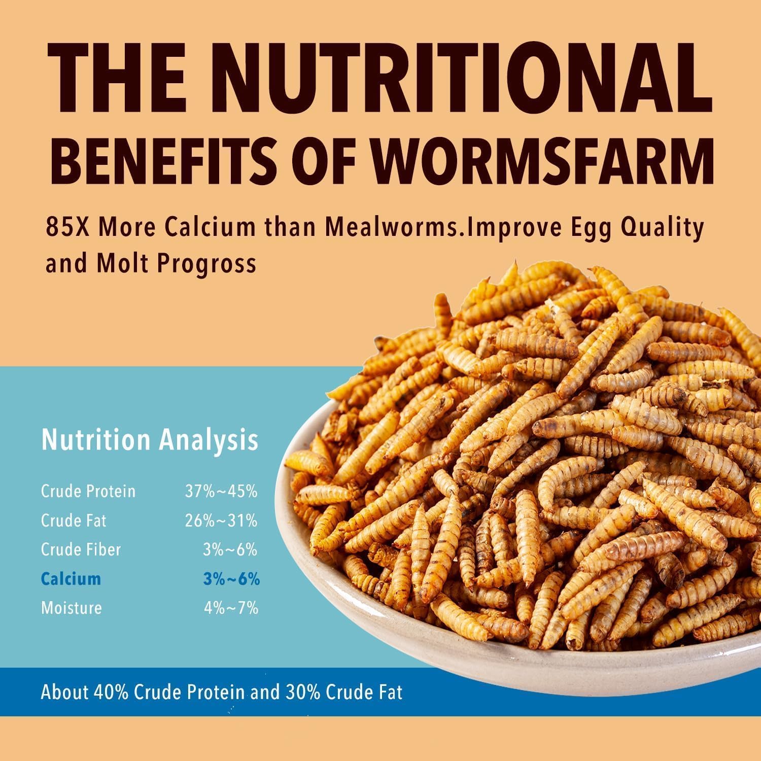 WormsFarm 5lb Dried Black Soldier Fly Larvae for Chickens More Calcium Than Mealworms for WildBirds(5 Pound)