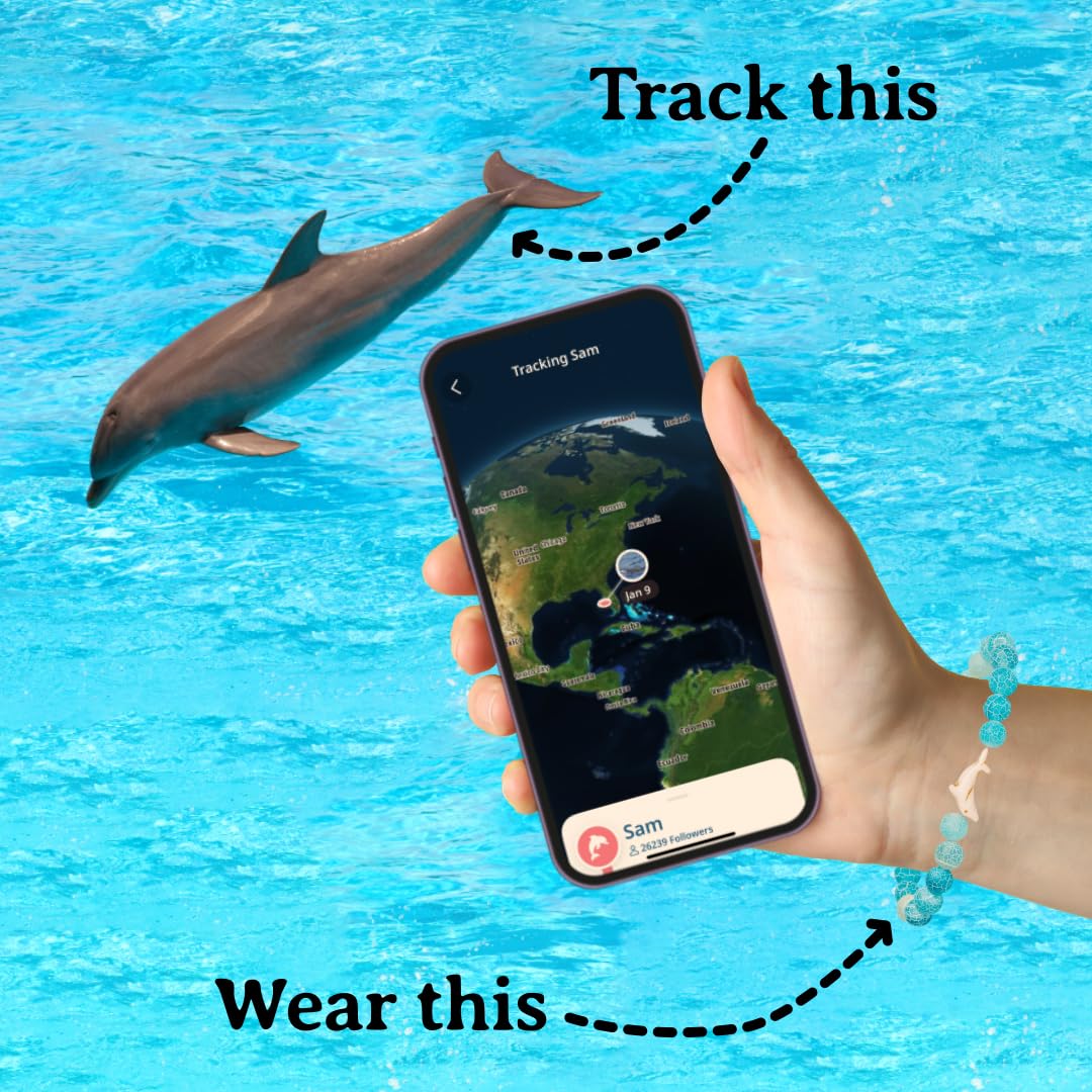 Fahlo Dolphin Tracking Bracelet, Elastic, supports FIU Marine Conservation, one size fits most for Men and Women (Seafoam)
