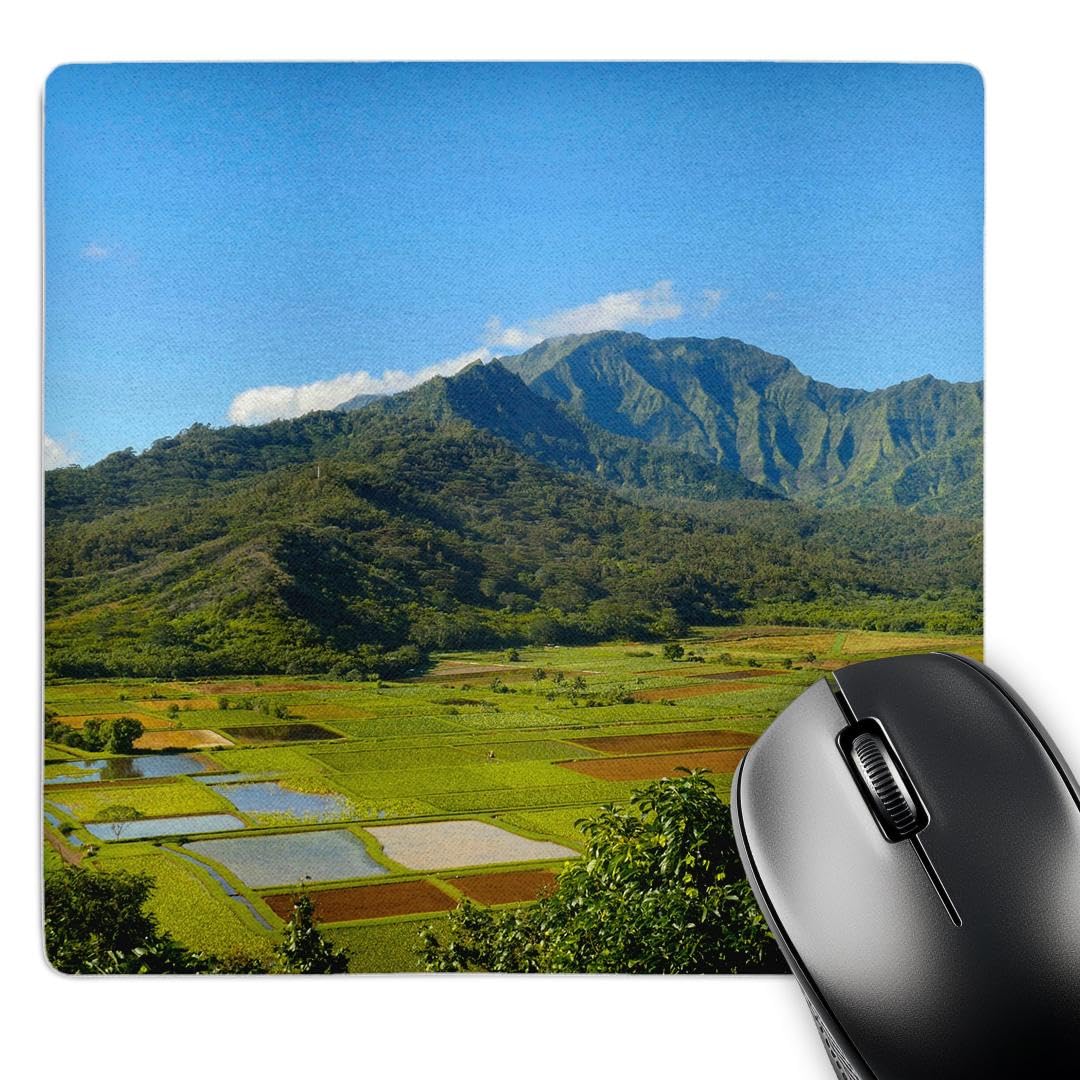 3D Rose "Hanalei Valley Lookout Taro Fields Kauai Hawaii" Matte Finish Mouse Pad - 8 x 8" - mp_230643_1