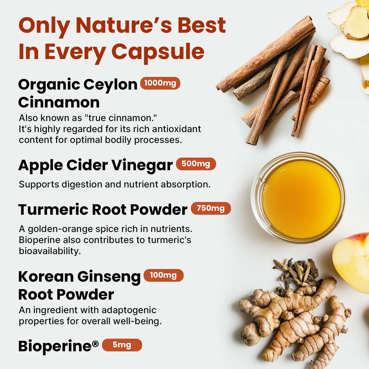 5-in-1 Ceylon Cinnamon Capsules 2355mg - Ceylon Cinnamon and Apple Cider Vinegar with Turmeric, Panax Ginseng, Cinnamon, and Bioperine, 60ct