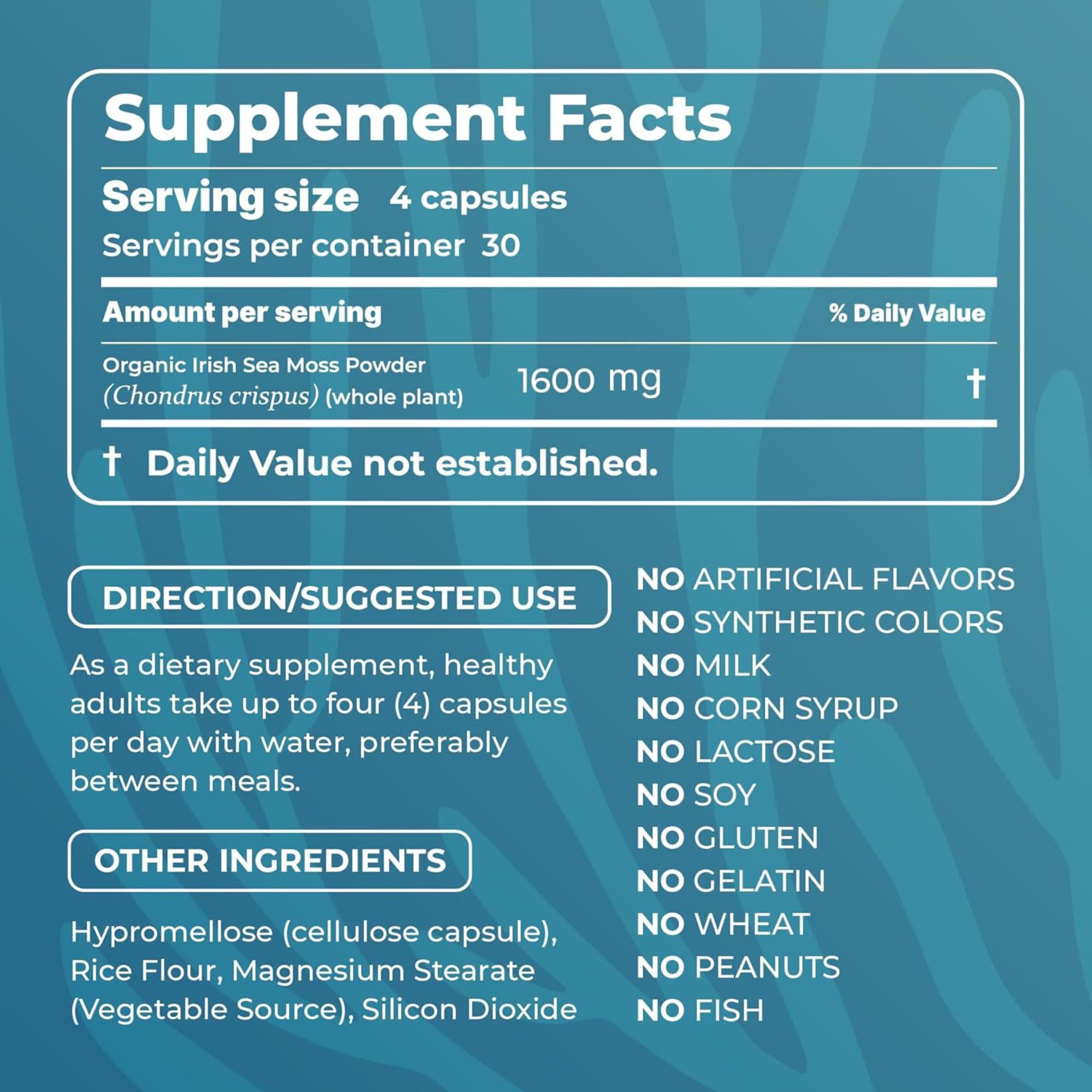 TrueSeaMoss Irish Sea Moss Capsules - 120 Original Capsules (1600mg) - Prebiotic Superfood - Boosts The Immune & Digestive System - Healthy Skin, Keto Detox, Gut, Joint Support
