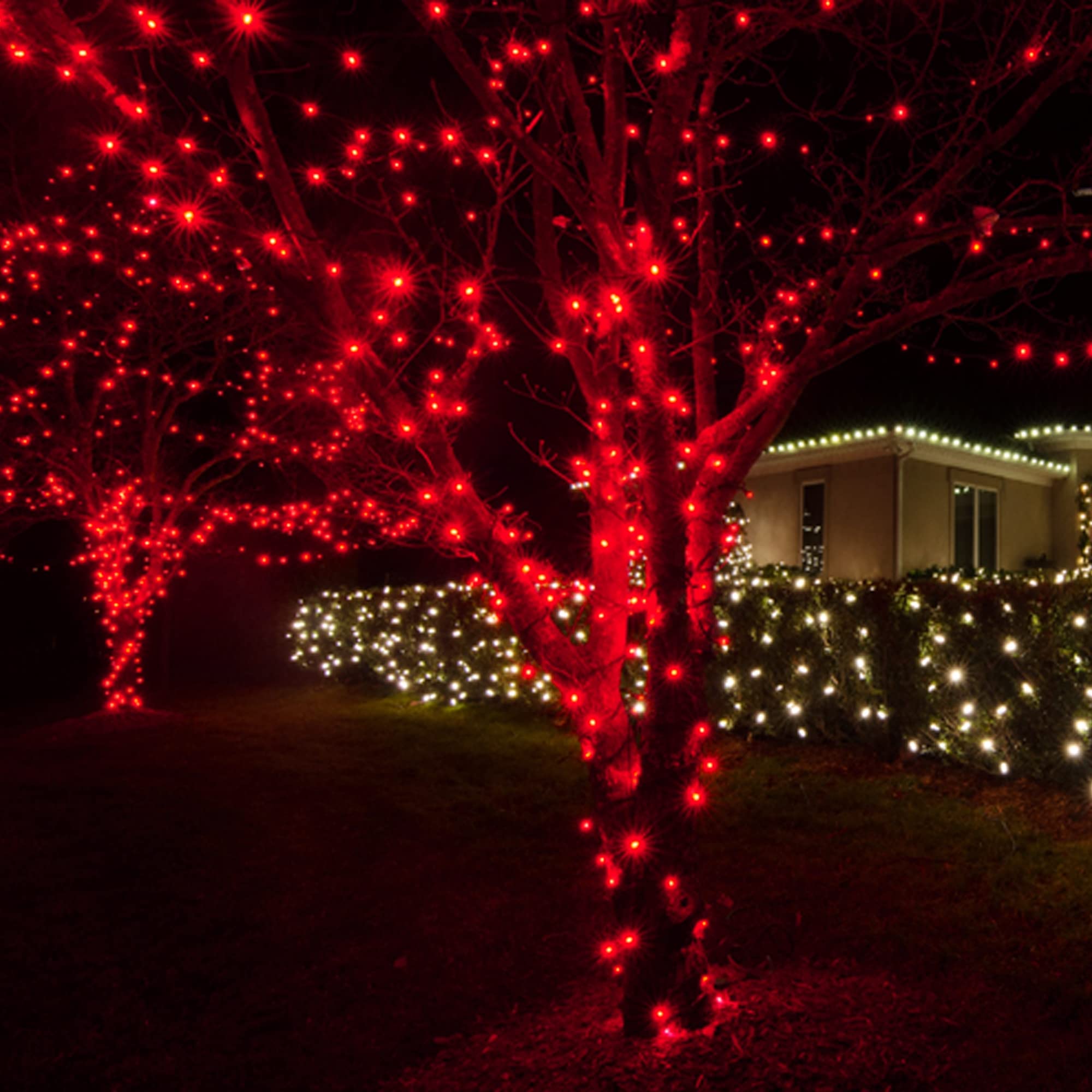 Uptotop Christmas 100 Count String Light, 20FT Plug in Waterproof String Light Decorations for Party Carnival Supplies, Outdoor Yard Garden Decor (RED)