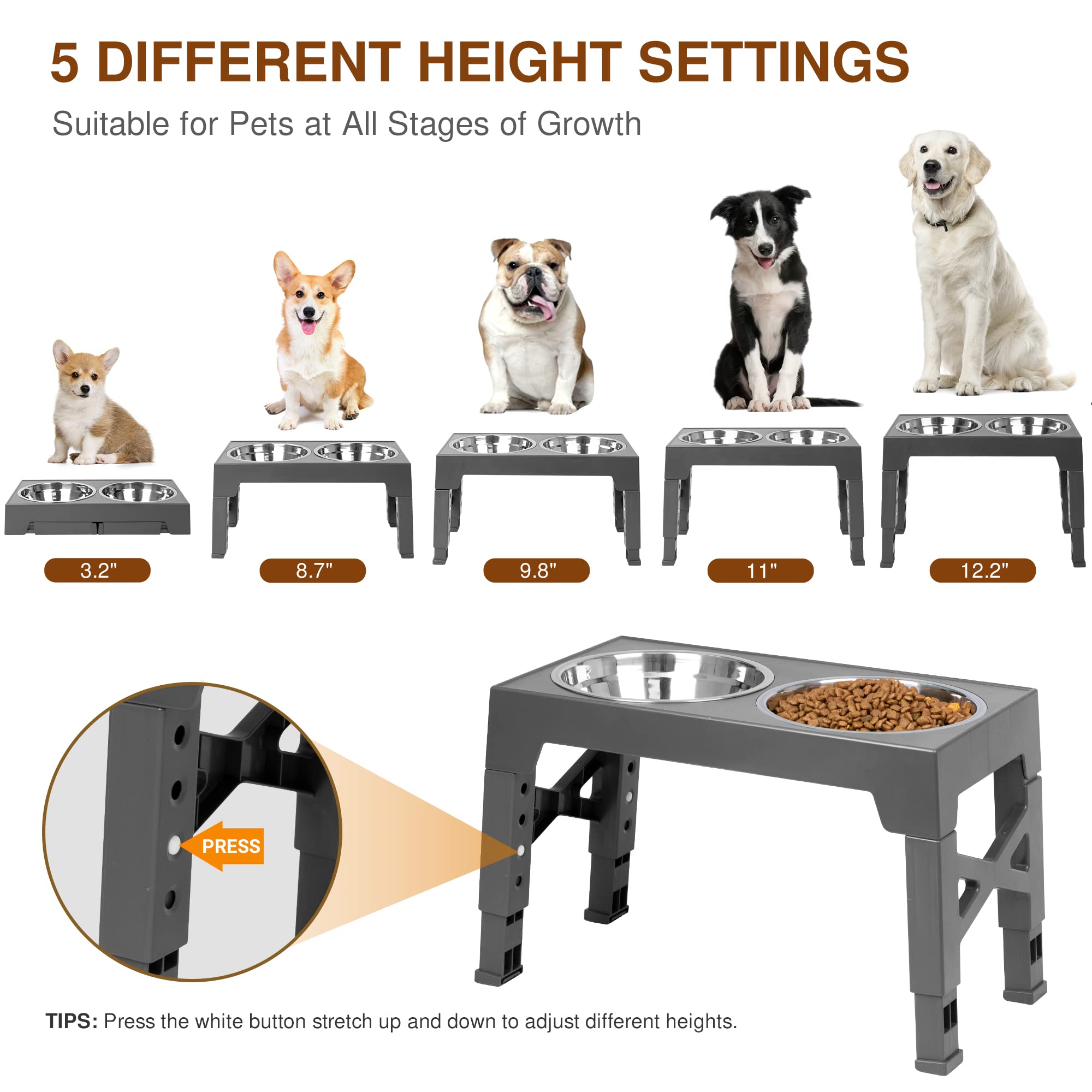 Elevated Dog Bowls, 5 Adjustable Heights Raised Dog Bowl Stand with Double Stainless Steel Dog Food Bowls, Adjusts to Heights 3.2", 8.7", 9.8", 11", 12.2" for Small Medium Large Pets Dogs and Cats