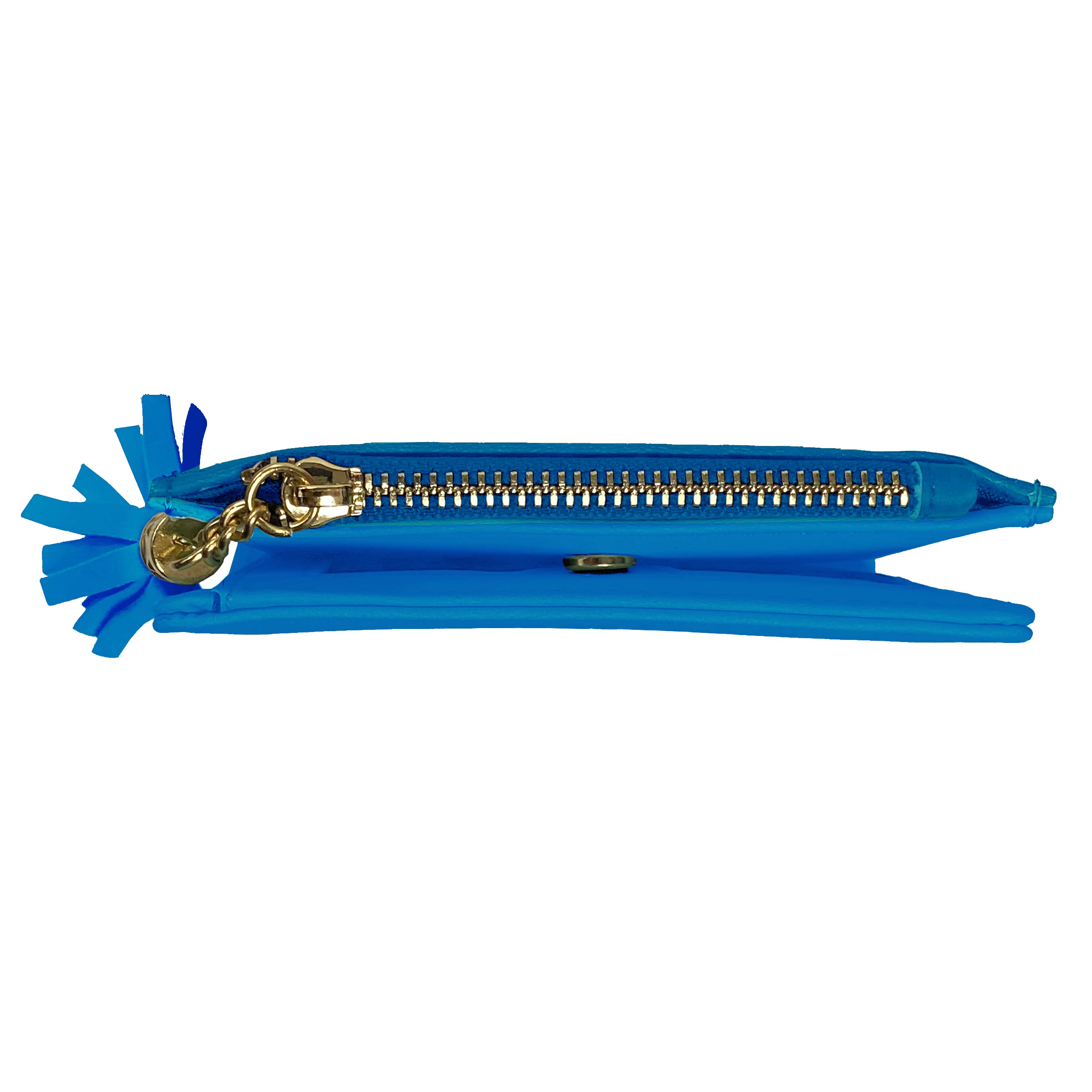 Littlearth Carolina Panthers NFL Mini Organizer