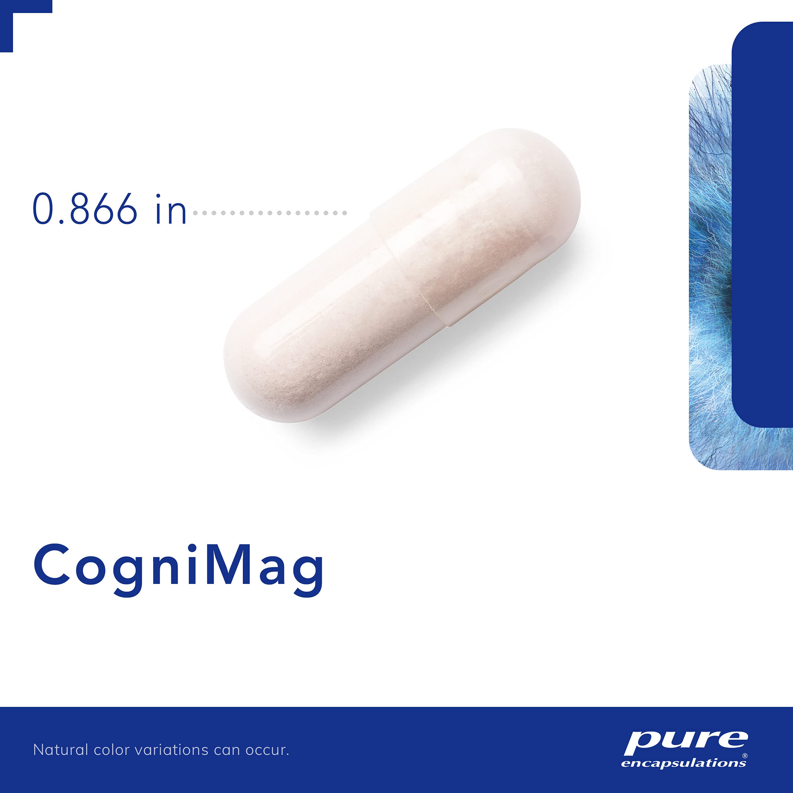 Pure Encapsulations CogniMag 120's - Magnesium-L-Threonate Supplement - Supports Brain Health & Memory* - Includes Magtein & Polyphenol Blend - 120 Capsules