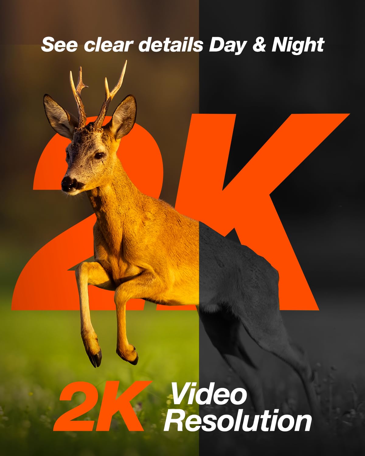 iZEEKER Trail Camera 4G LTE, 2K PTZ Cellular Game Camera Solar with 360° Full View, Live Video, Color Night Vision, Hunting Camera Motion Activated IP65 Waterproof, No WiFi, Remote Phone Access