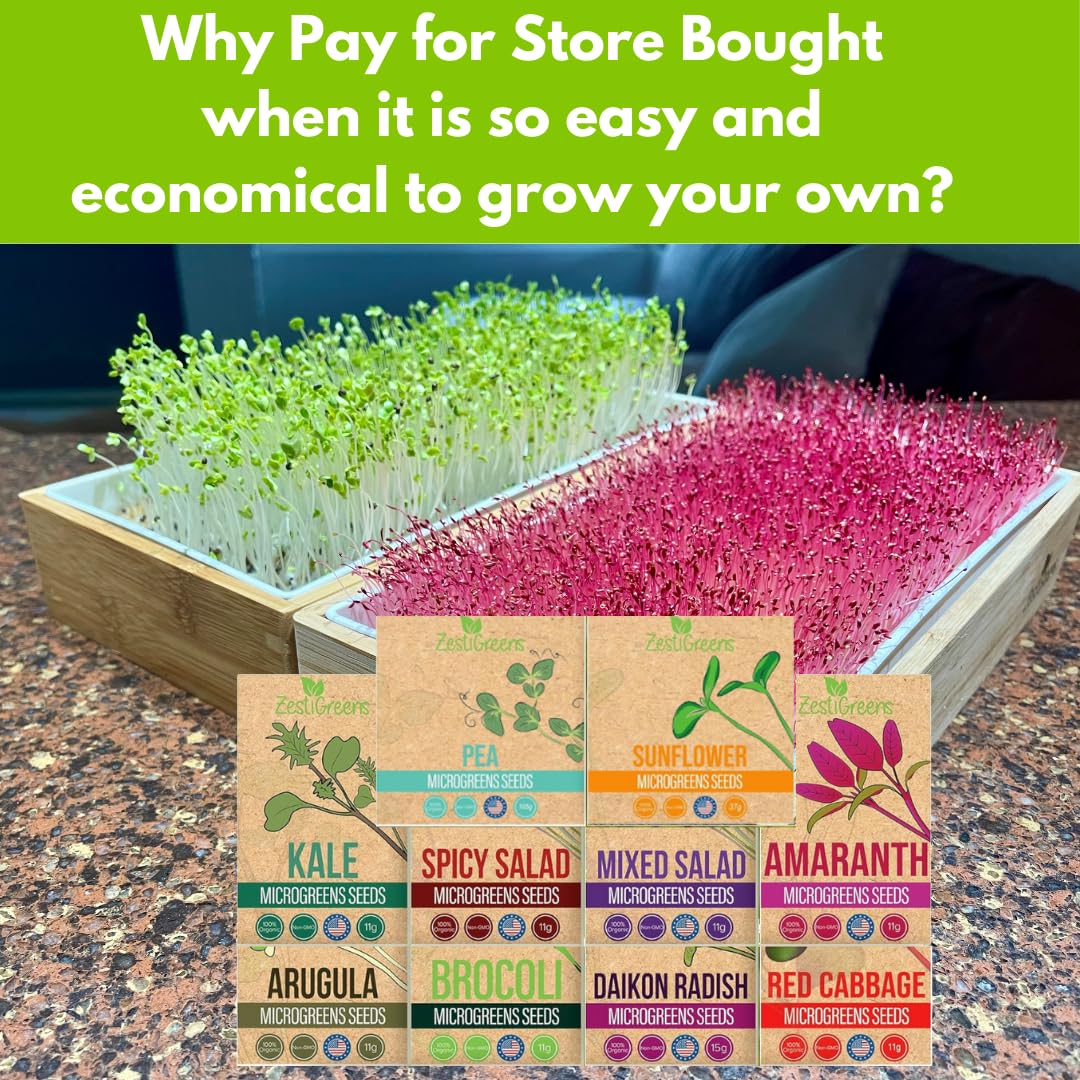 10 Variety Pack Microgreens Seeds - Broccoli, Sunflower, Pea, Salad Mix, Daikon Radish, Kale, Amaranth, Spicy Salad, Red Cabbage, & Arugula. Grow Your own Microgreens with These Organic Seeds.