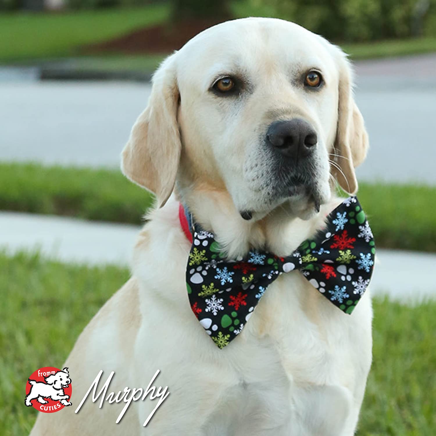 Fromm Family Foods 727009 Lamb & Lentil Dry 12 Lb Bag Dog Food (1 Pack), One Size