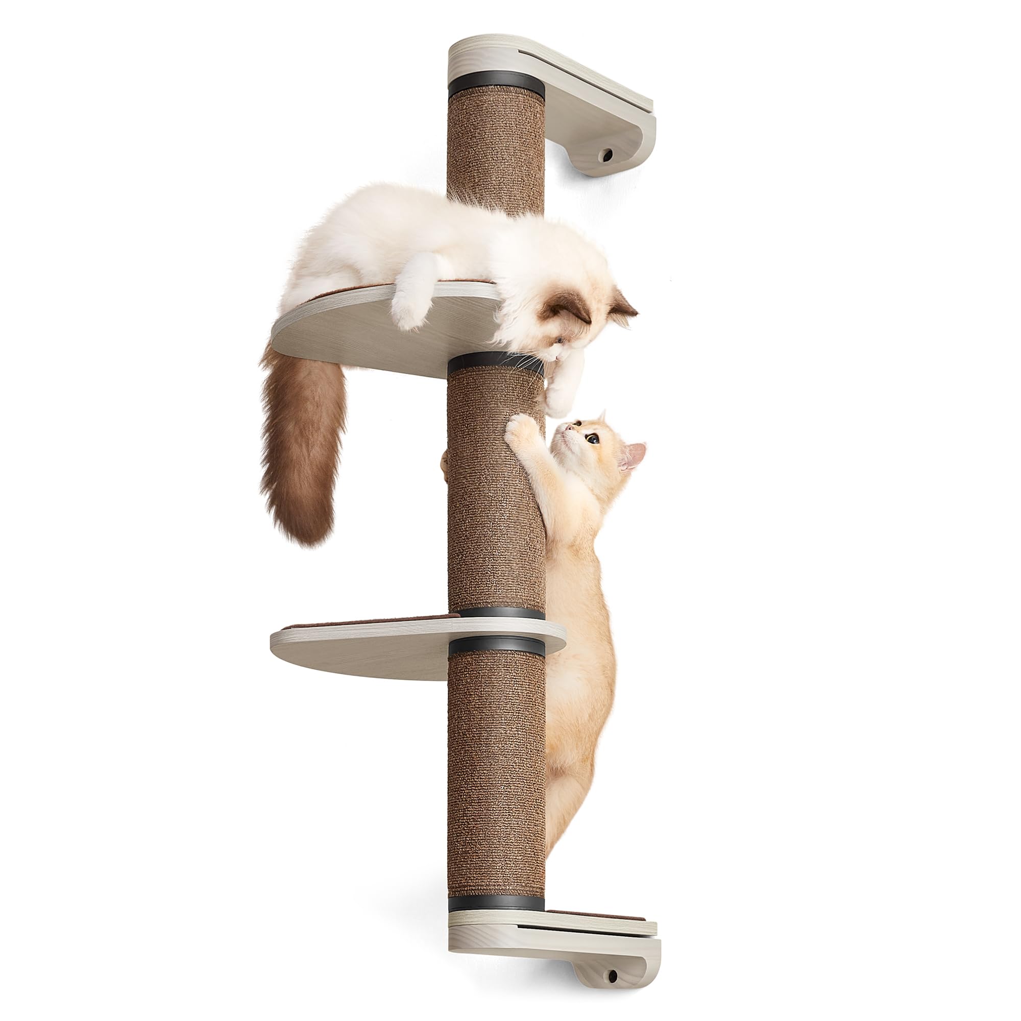 Feandrea Clickat Collection - No.006 Cat Tree Scratching Post, 39.7-Inch Tall Thicker Wall Mounted Cat Scratcher Posts, 2 Cats Perch Platform, Easy Assembly, Suit for Multi Cats Climb Play Nap Scratch