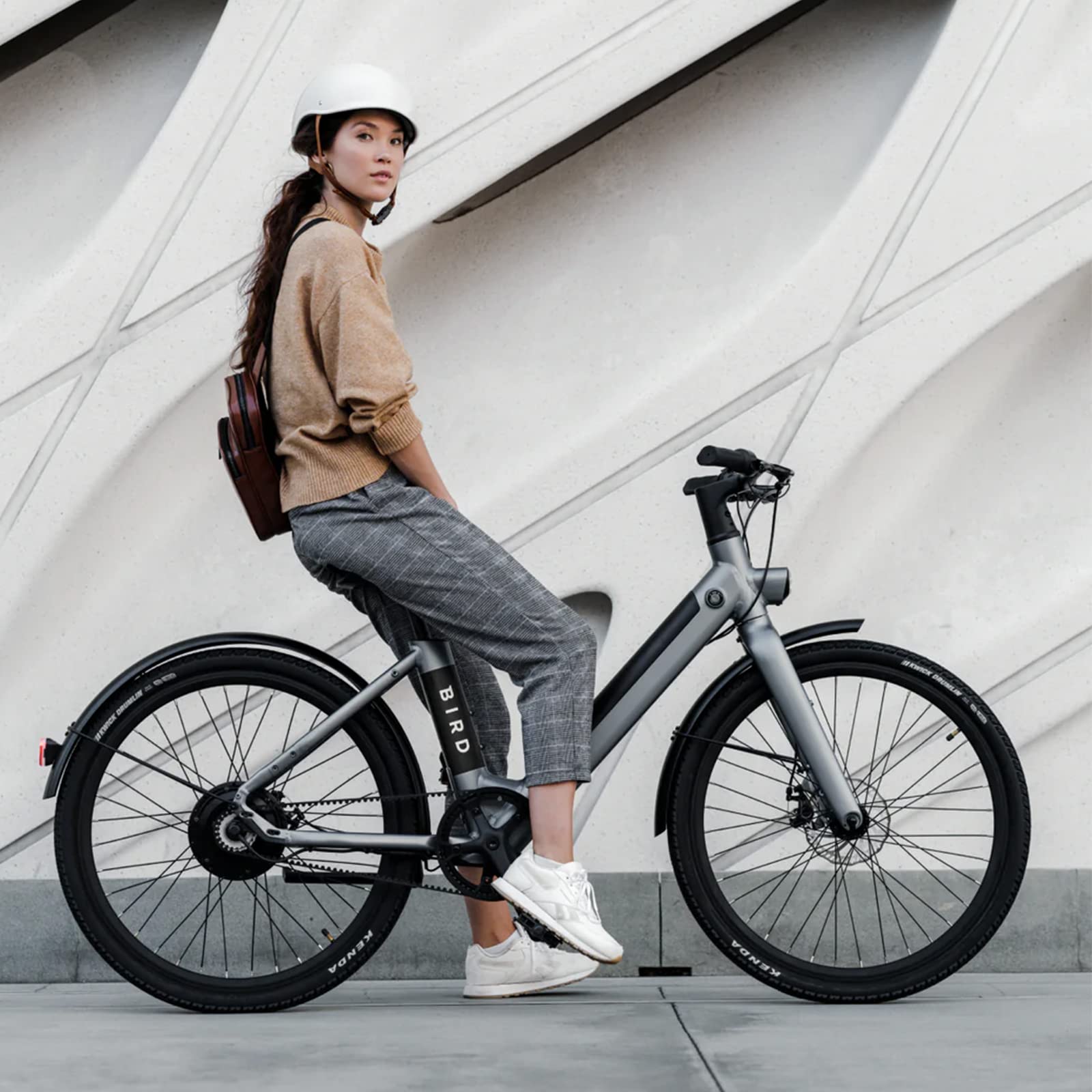Bird Electric Bike for adults 500W Motor, 20MPH EBike woman with 36V Removable Battery- LCD Display, Disc Brake, 26" Tire, manual throttle, Carbon Belt Drive, Adults Electric Commuting Bicycle Gray