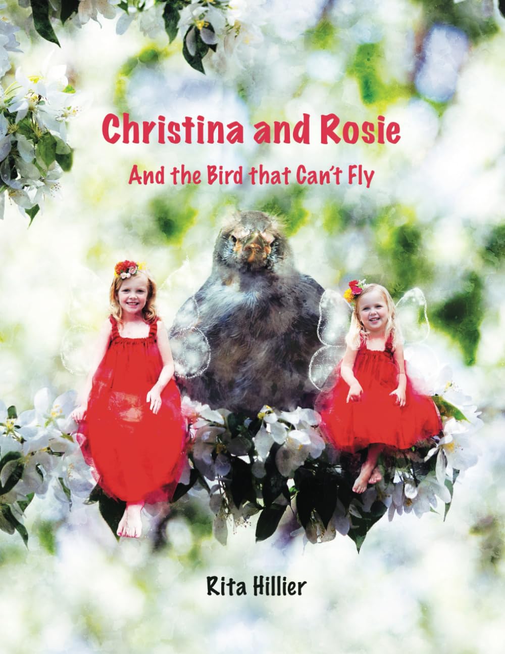 Christina and Rosie: And the Bird that Can't Fly