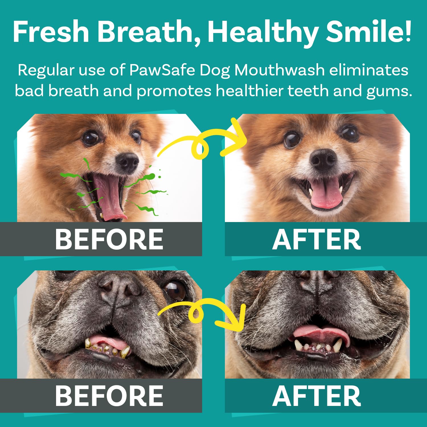 Dog Mouthwash, Dental Water Additive for Fresh Breath, Plaque & Tartar Control, Best Natural Cleaning Freshener Formula for Healthy Teeth & Gums, Advanced Easy-to-Use Oral Care Solution