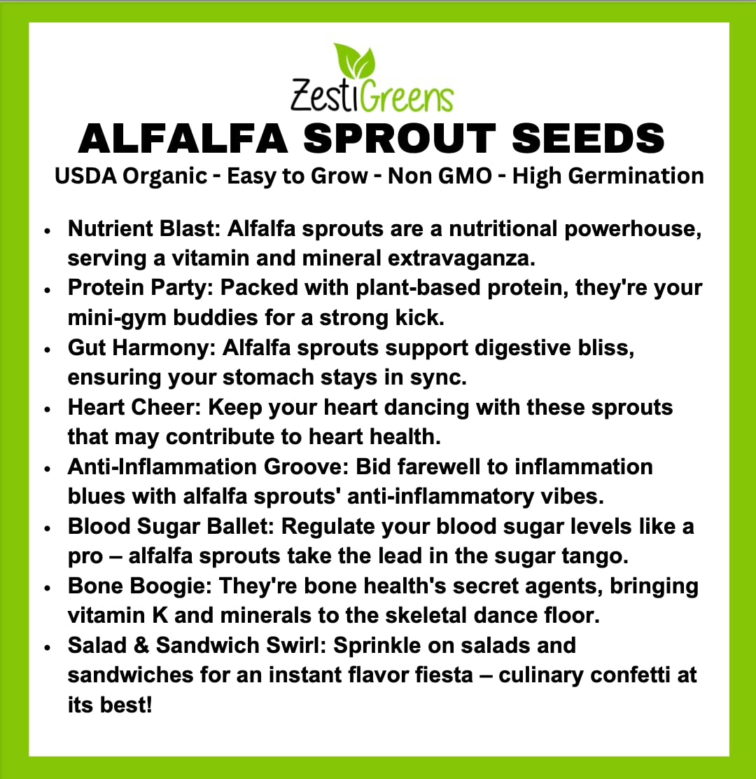 Premium Sprouts Growing Kit & Green Onion Regrower with 2 Mason Jars & Superior Sprout lids and Premium USA Alfalfa Seeds for Sprouting & Microgreens with High Germination Rate (0.5 lb)