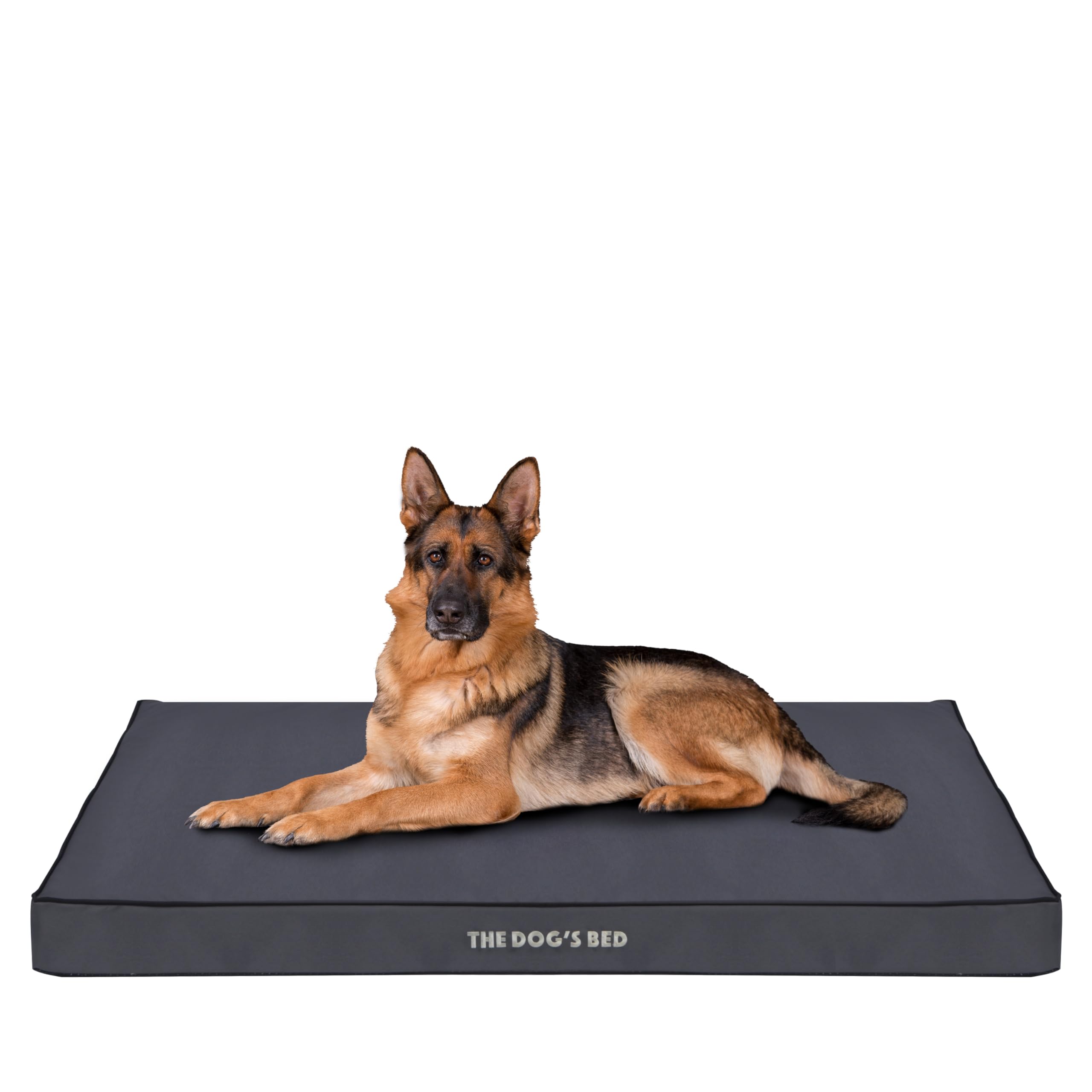 The Dog’s Bed Orthopedic Egg Crate Foam Dog Bed with Standard Support, XL Grey with Black Trim, Waterproof, Supportive Dog Bed with Replaceable Covers, Veterinary Approved