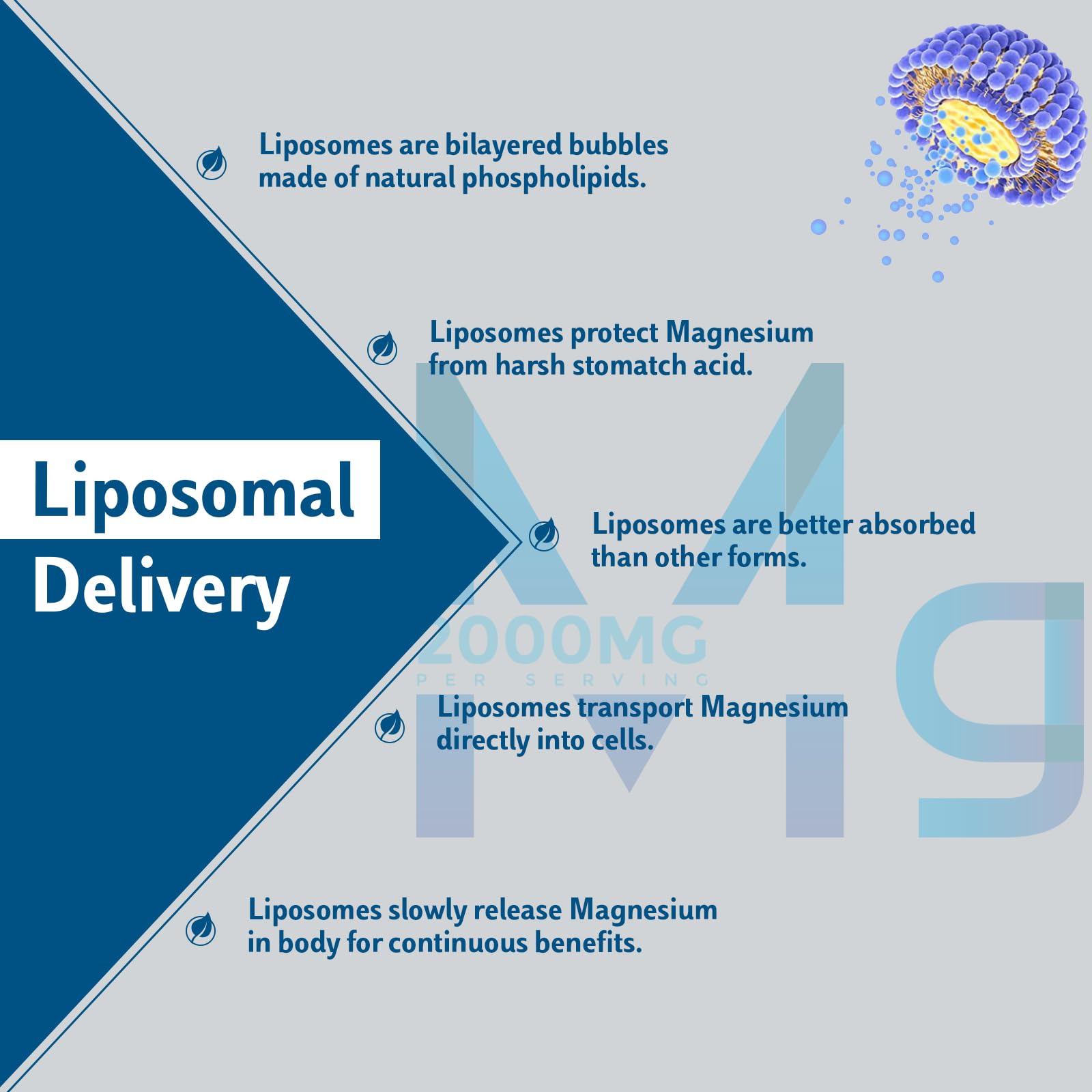 Liposomal Magnesium Softgels 2000mg - Magnesium Supplement with Vitamin D3 & K2 - Brain and Bone Health & Muscle Relaxation - Non-GMO, Gluten-Free 60 Softgels