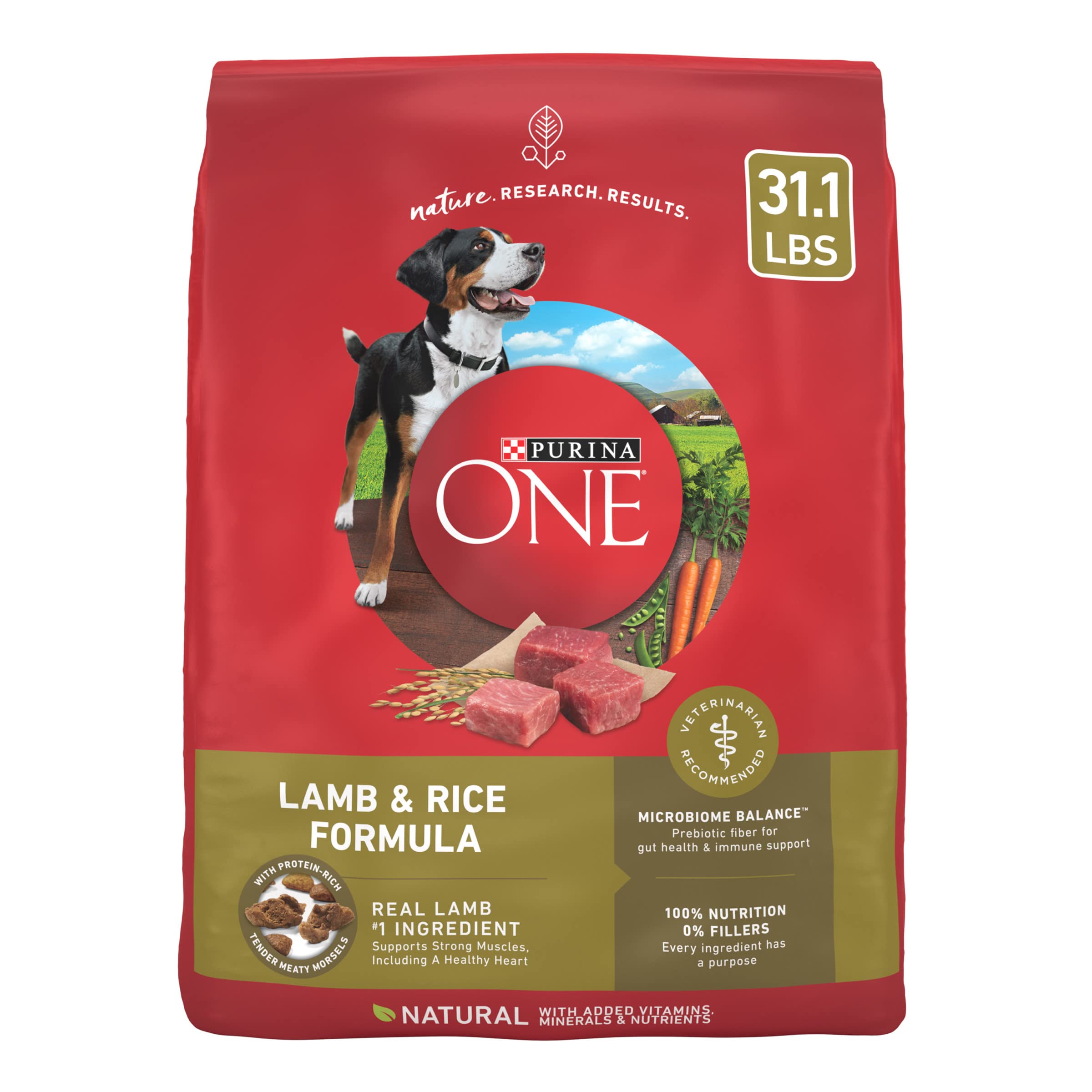 Purina ONE Dry Dog Food Lamb and Rice Formula - 31.1 lb. Bag