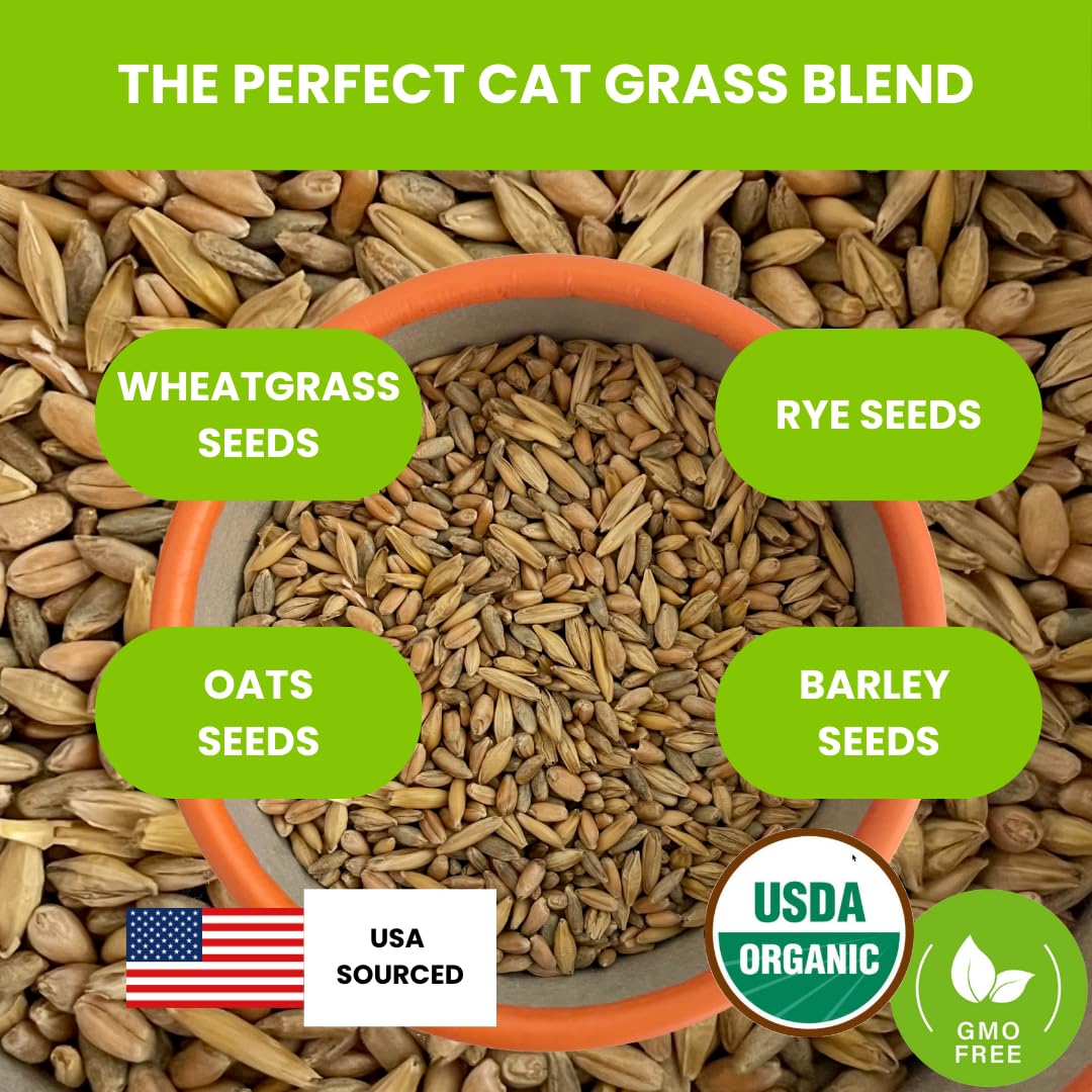 ZESTIGREENS Organic Cat Grass Seeds - Non-GMO Blend of Wheat, Oats, Rye & Barley for Indoor Cats | Seeds Come in Food Grade Container with Lid for Easier Scooping & Keeping Fresher (0.5 lb)