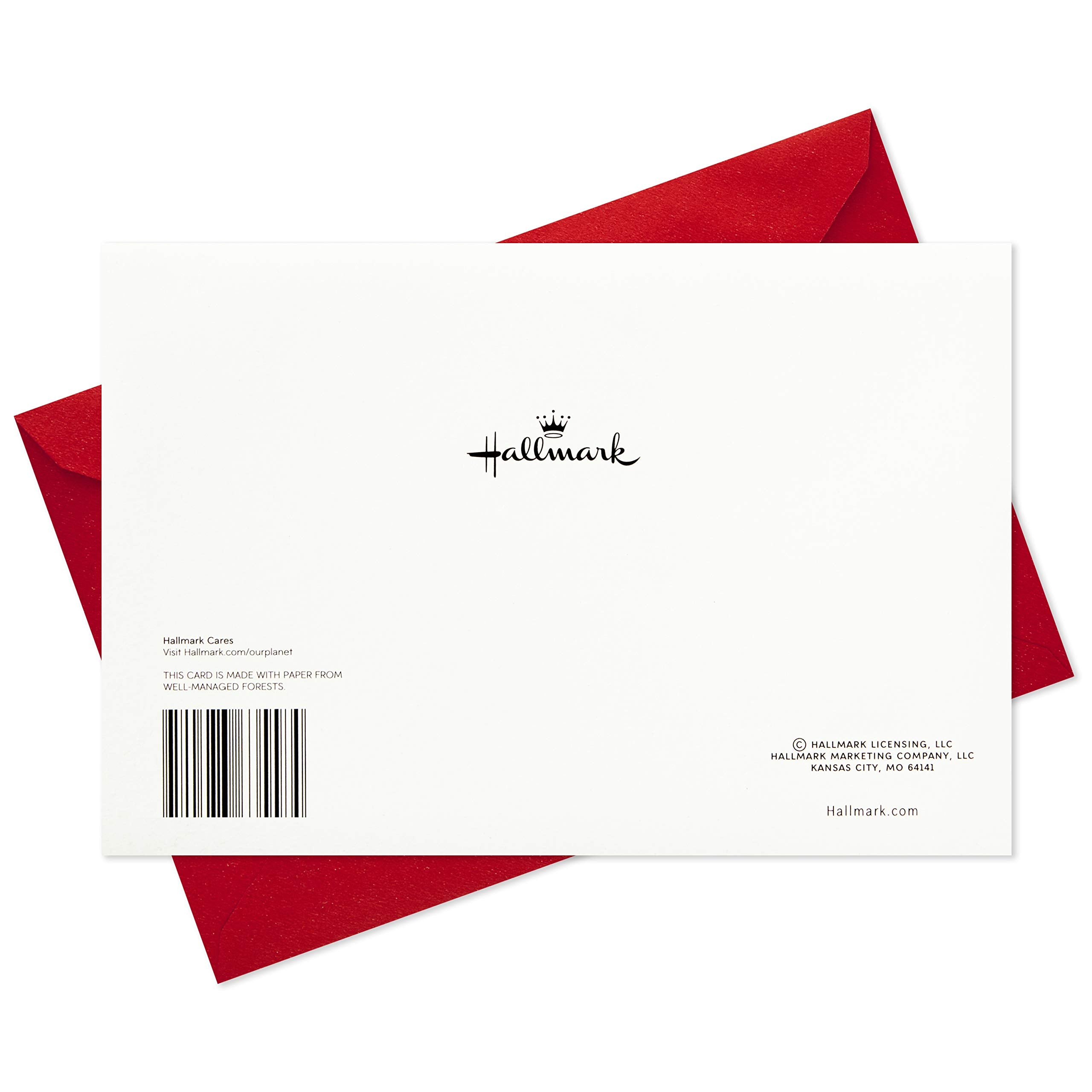 Hallmark Boxed Holiday Cards (Season's Greetings Snowflake, 40 Holiday Cards with Envelopes)