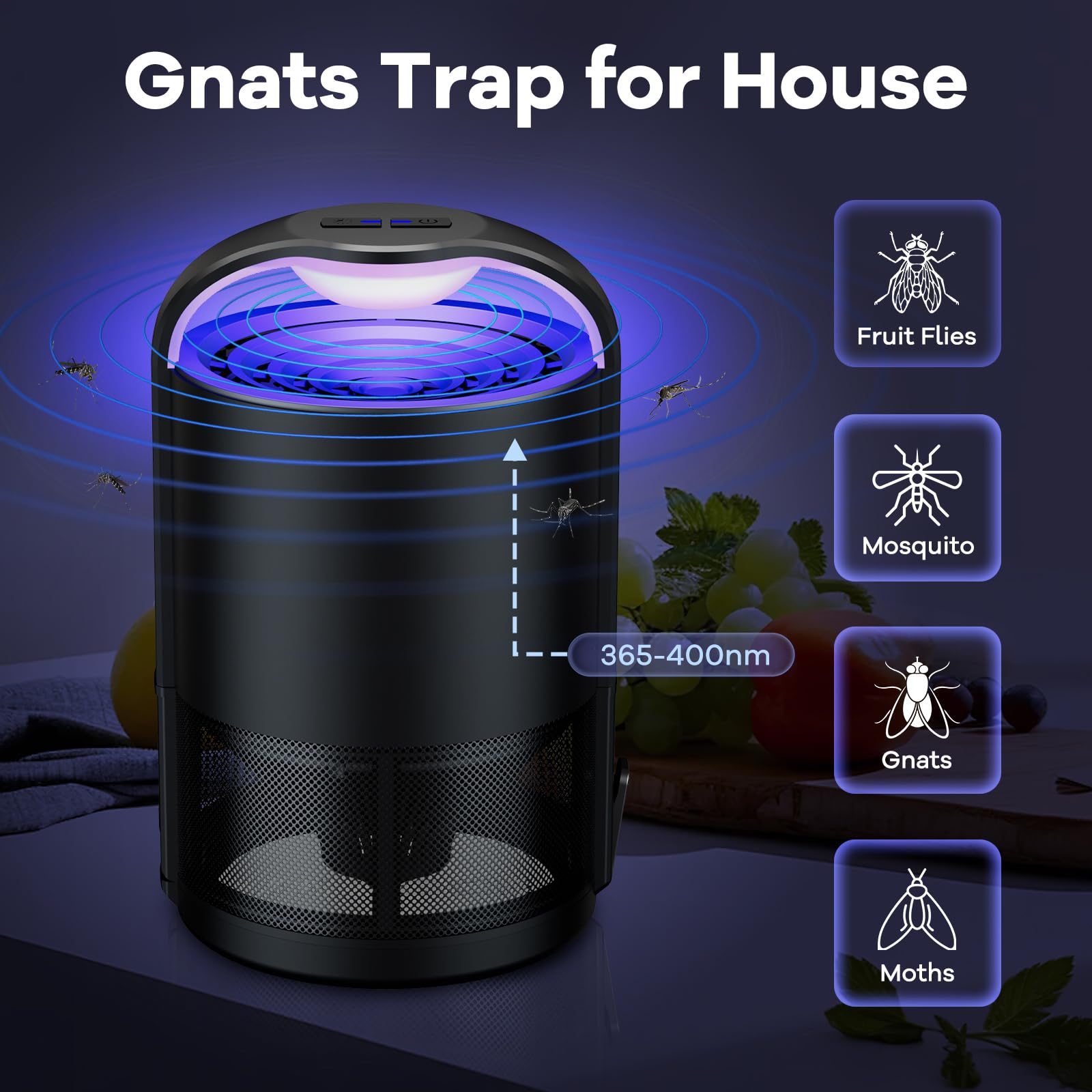 Fruit Fly Traps Indoors, Gnat Traps for House, Fly Traps, Bug Zapper Indoor, Insect Traps with 10 Sticky Glue Boards, Black