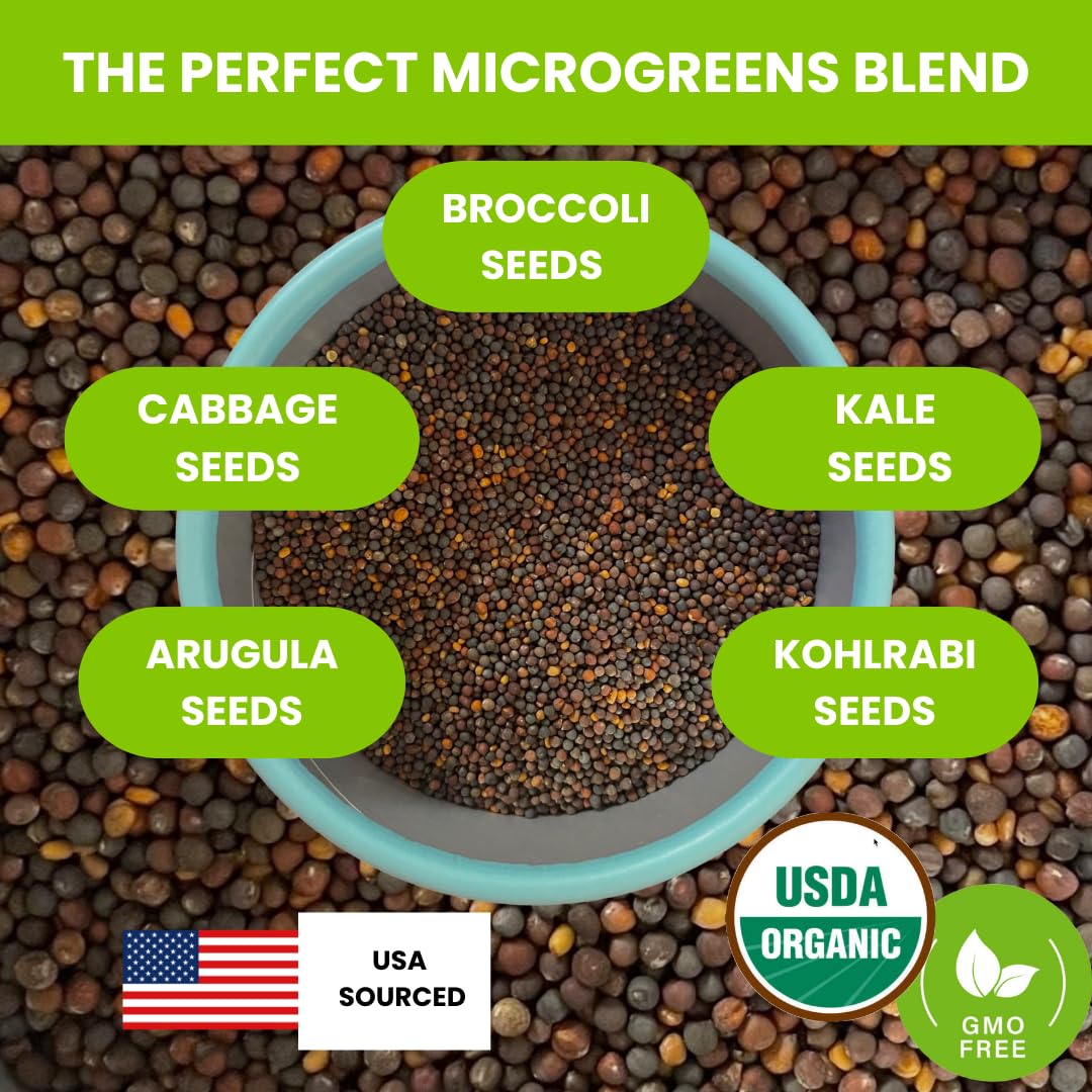 Superfood Microgreen Seeds Mix x 1lb. Non GMO Organic Broccoli, Kale, Kohlrabi, Arugula & Cabbage Seeds in Food Grade tin for Easier scooping & Keeping Fresher.