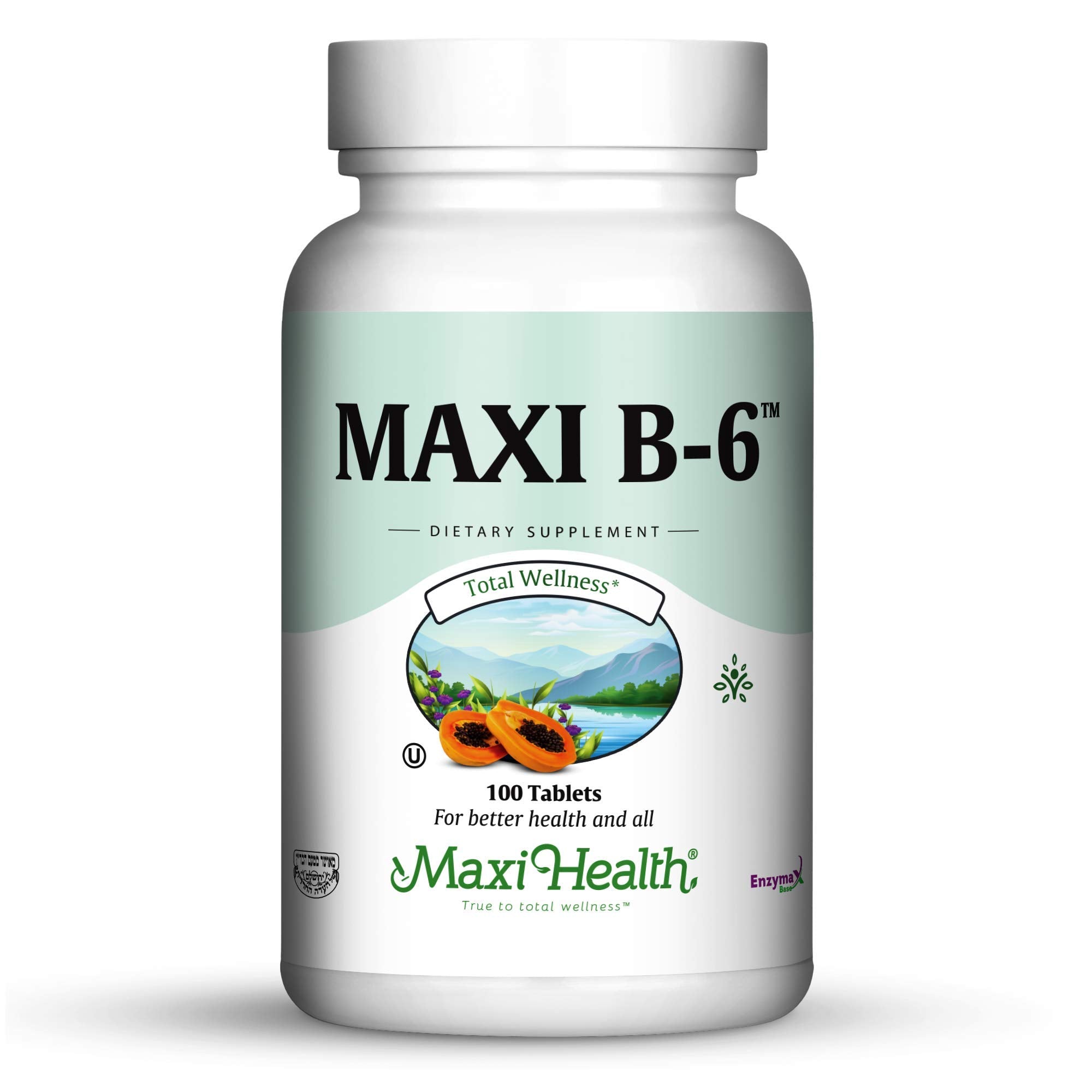 Maxi Health B-6 - Vitamin B6-100 mg Cardiovascular Health - 100 Tablets - Kosher (100 Count, Pack of 2)