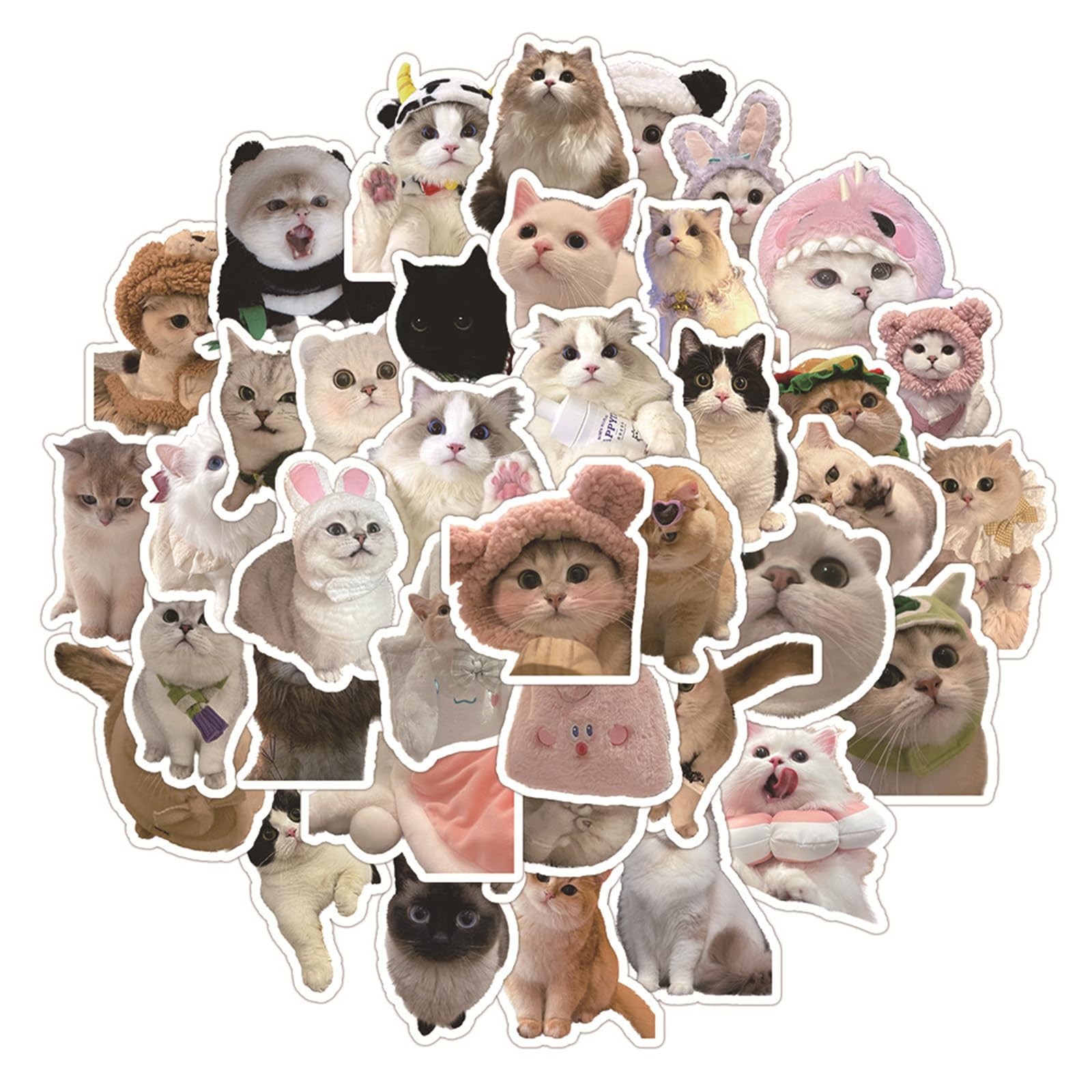 56 PCS Cute Cat Stickers for Kids, Funny Stuff Water Bottle Stickers for Laptop Vinyl Classroom Prize, Cute Things Birthday Gifts Cute Stuff for Boys Girls Adults Teens (Cat)