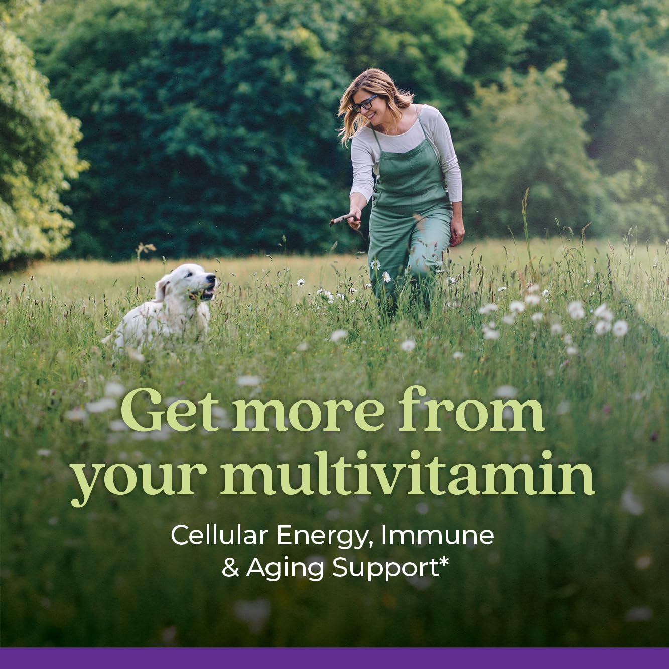 New Chapter Women's Multivitamin 40 Plus for Energy, Healthy Aging + Immune Support with 20+ Nutrients -- Every Woman's One Daily 40+, Gentle on the Stomach, 96 Count