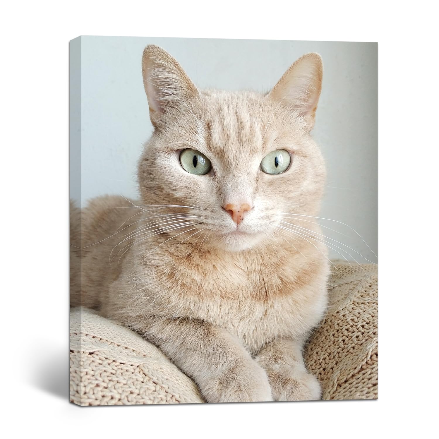 Wall Decor Wall Art for Living Room Bathroom Bathroom Framed Canvas Wall Art for Office