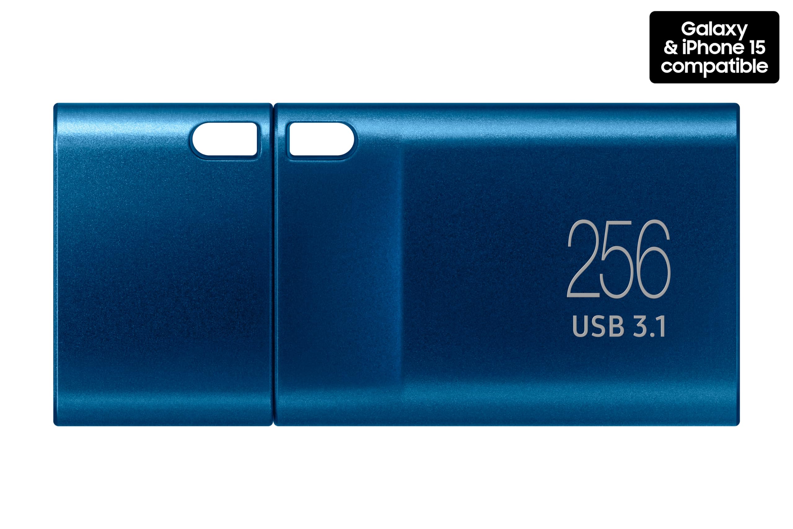 Samsung Type-C™ USB Flash Drive, 256GB, Transfers 4GB Files in 11 Secs w/Up to 400MB/s 3.13 Read Speeds, Compatible w/USB 3.0/2.0, Waterproof, 2022, Blue, MUF-256DA/AM