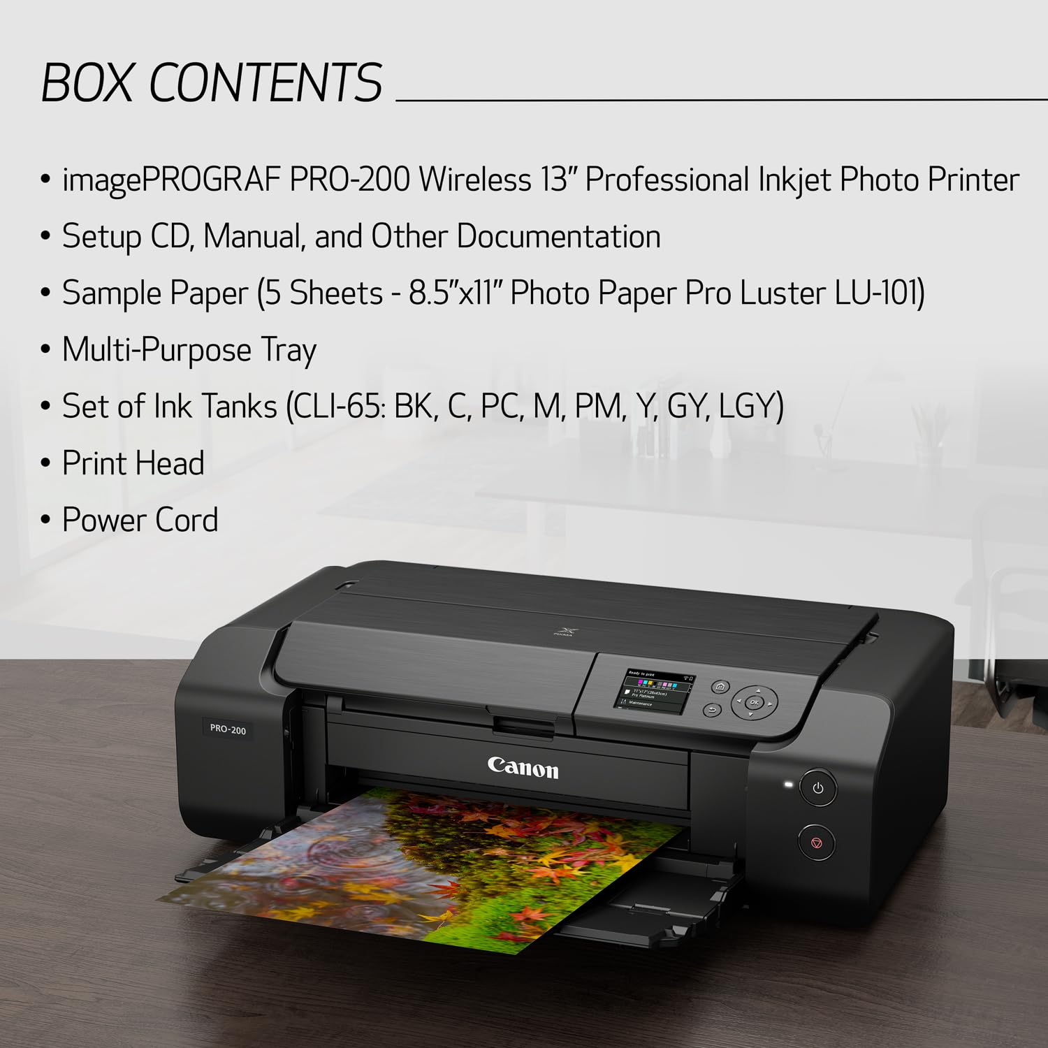 Canon PIXMA PRO-200 Wireless Professional Inkjet Photo Printer