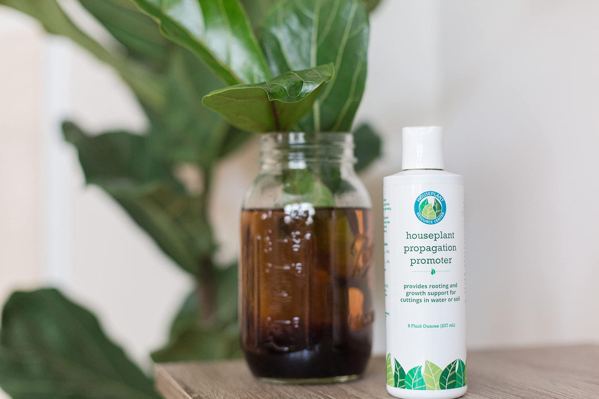 Houseplant Resource Center - Propagation Promoter