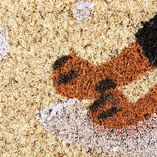 DII Christmas Coir Door Mat Outdoor Cat & Dog Themed Doormat for Animal Lovers, 17x29, Dachshund Through The Snow