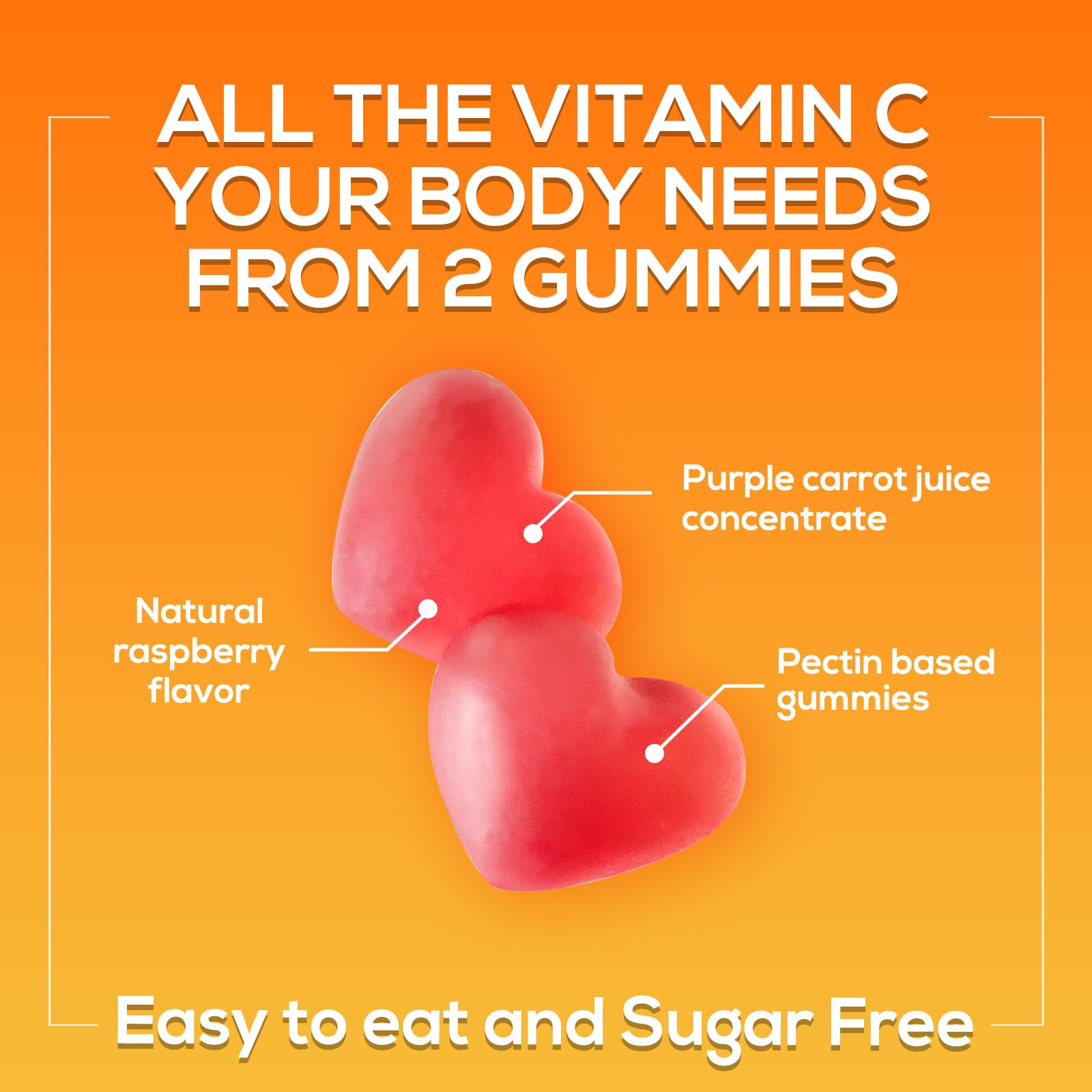 Sugar Free Vitamin C Gummies - Immune Support & Antioxidant Vitamin Dietary Supplement - Vegan, Non-GMO, Dairy & Gluten Free C Vitamin Gummy - Raspberry Flavor for Kids & Adults - 60 Count Gummies