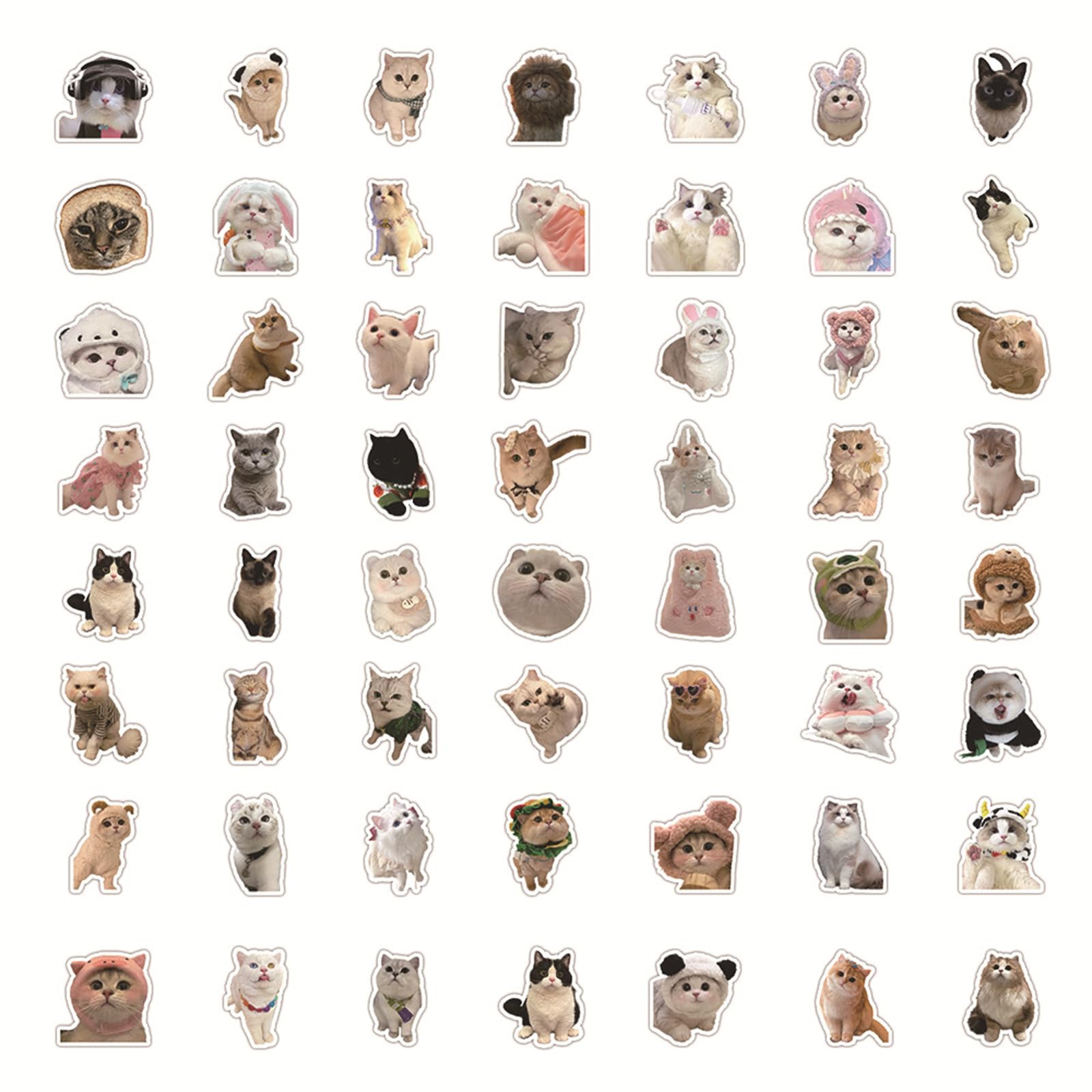 56 PCS Cute Cat Stickers for Kids, Funny Stuff Water Bottle Stickers for Laptop Vinyl Classroom Prize, Cute Things Birthday Gifts Cute Stuff for Boys Girls Adults Teens (Cat)