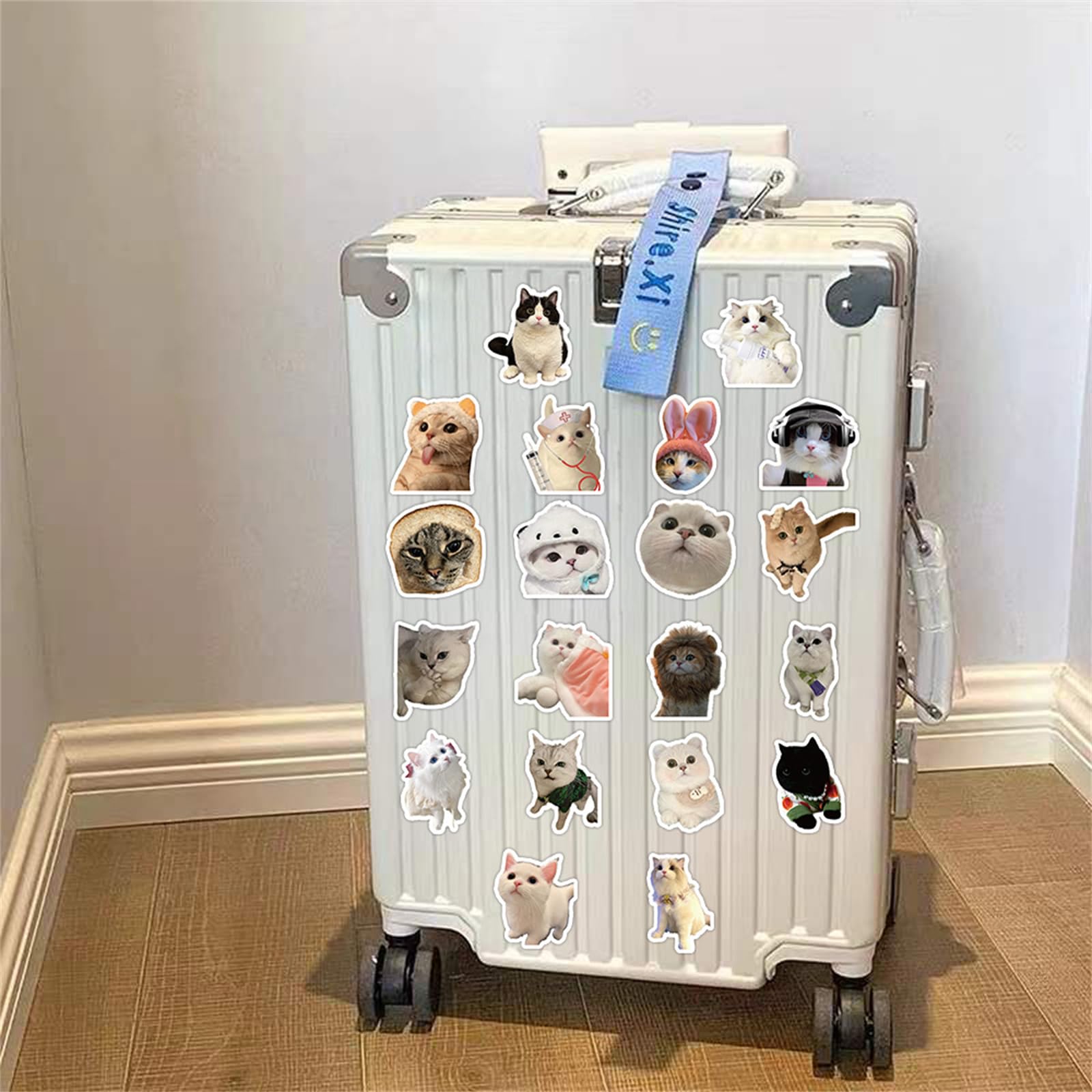 56 PCS Cute Cat Stickers for Kids, Funny Stuff Water Bottle Stickers for Laptop Vinyl Classroom Prize, Cute Things Birthday Gifts Cute Stuff for Boys Girls Adults Teens (Cat)