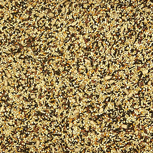 Kaytee Wild Bird Finch Food Blend, 3 lb