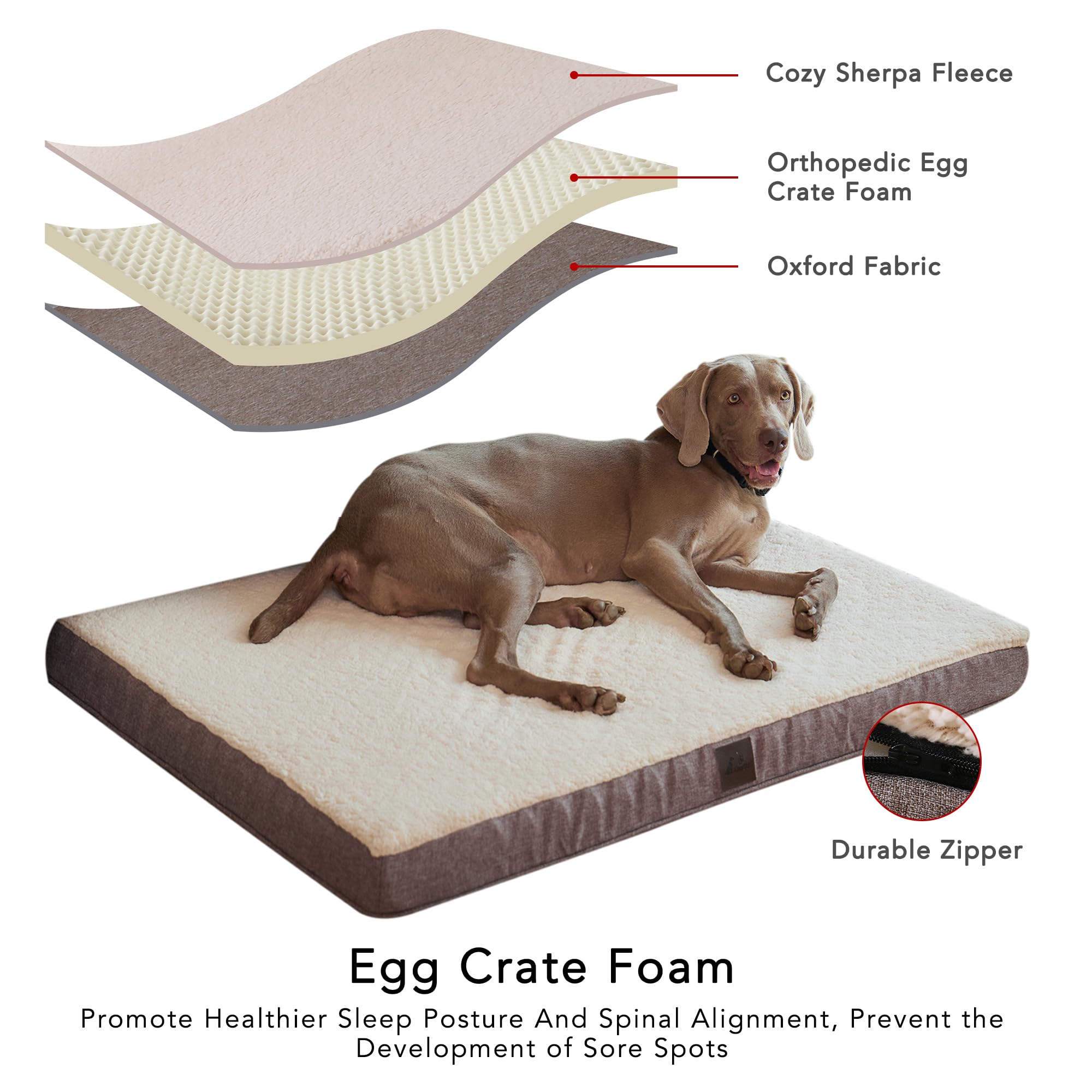 DaysU Large Dog Bed for Large Dogs, Orthopedic Dog Beds with Removable Washable Cover, Egg Crate Foam Pet Bed Mat, Brown, Suitable for Dogs Up to 65 Ibs, 36x27x3in