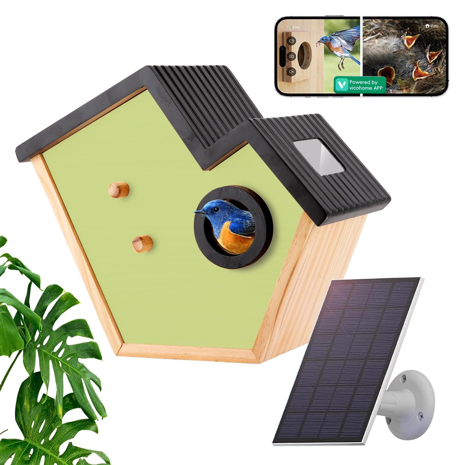Bird House Feeder with Camera, Outdoor Waterproof Solar Powered, 2K HD Camera AI Recognition for Over 10,000 Species, Real-time Videos & Pictures, a for Bird Lovers (Green)