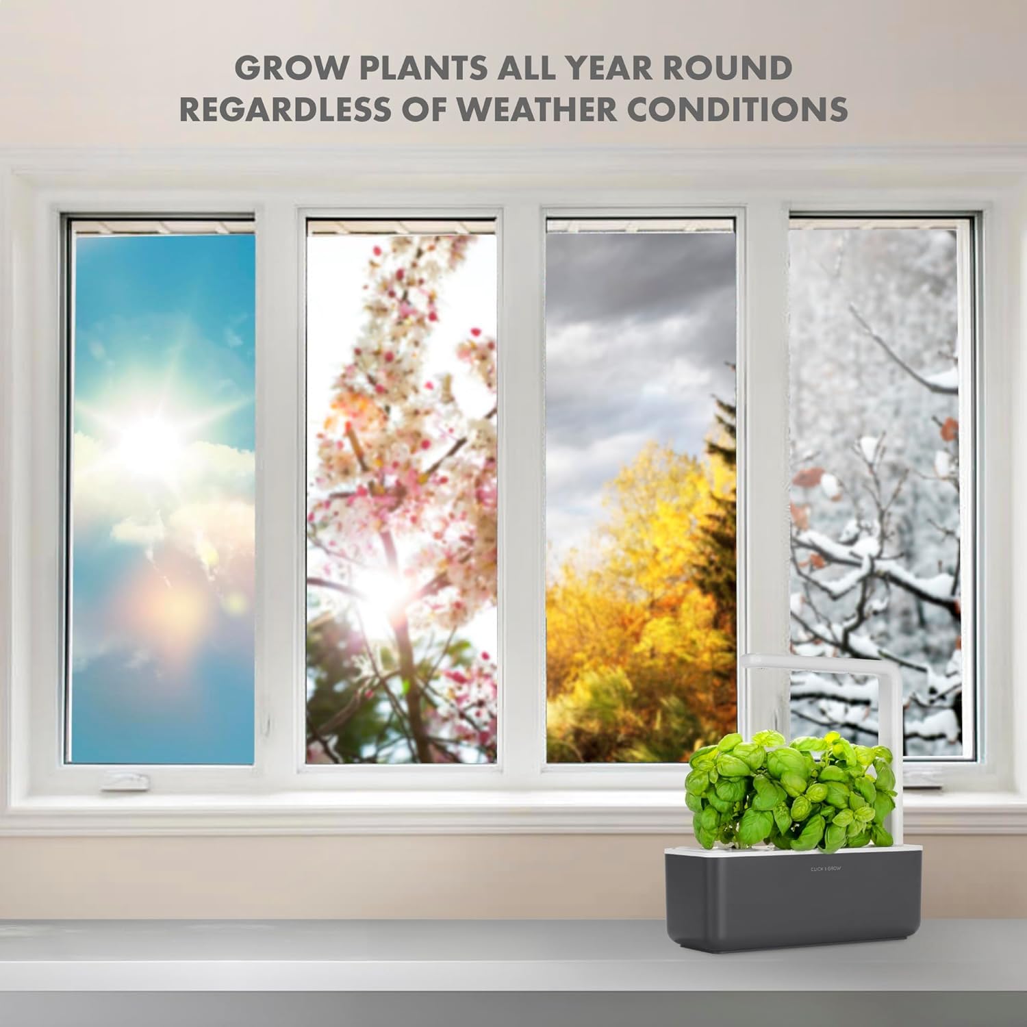 Click & Grow Indoor Herb Garden Kit with Grow Light | Smart Garden for Home Kitchen Windowsill | Easier Than Hydroponics Growing System | Vegetable Gardening Starter (3 Basil Pods Included), Grey