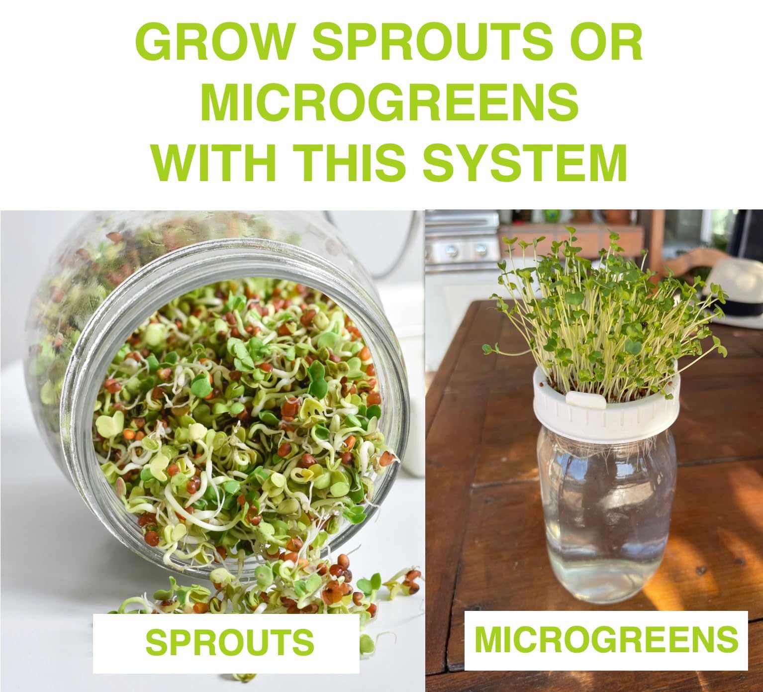 Premium Seed Sprouting Kit & Green Onion Regrower – 2 Wide-Mouth Mason Jars with Sprout Lids, Stainless Stand, Drain Tray, Blackout Sleeves & Cleaning Brush for Broccoli, Alfalfa & Mung Beans
