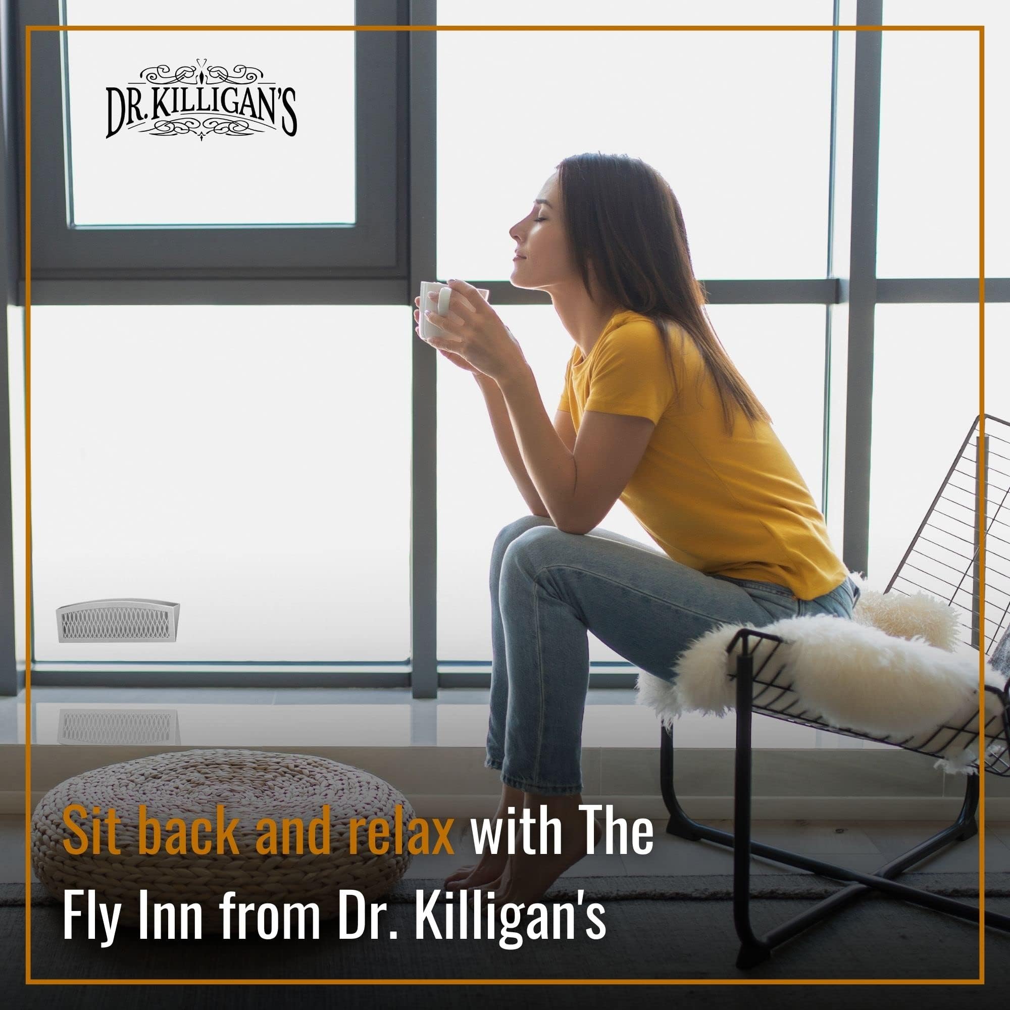 Dr. Killigan's The Fly Inn | Window Fly Traps | Sticky Fly Strip | Indoor Insect Trap | Catches and Hides Bugs | Better Than Fly Paper or Ribbon | Get Rid of Flies | (2+4, Gray)