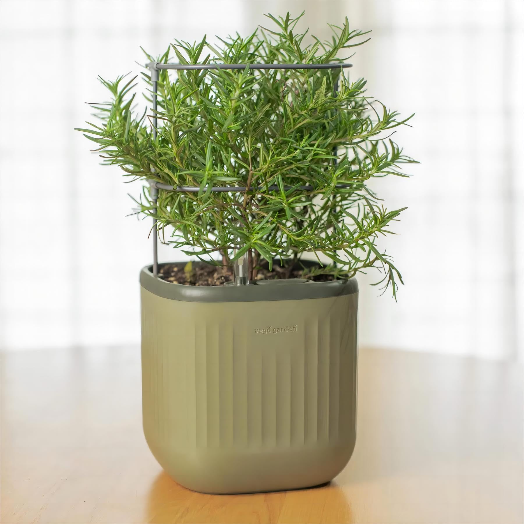 Vego Garden Mini Planter Indoor Pots with Trellis Self-Watering Herb Countertop Planter for Climbing Vegetables Flowers Mint Plants Cage- Sage Green