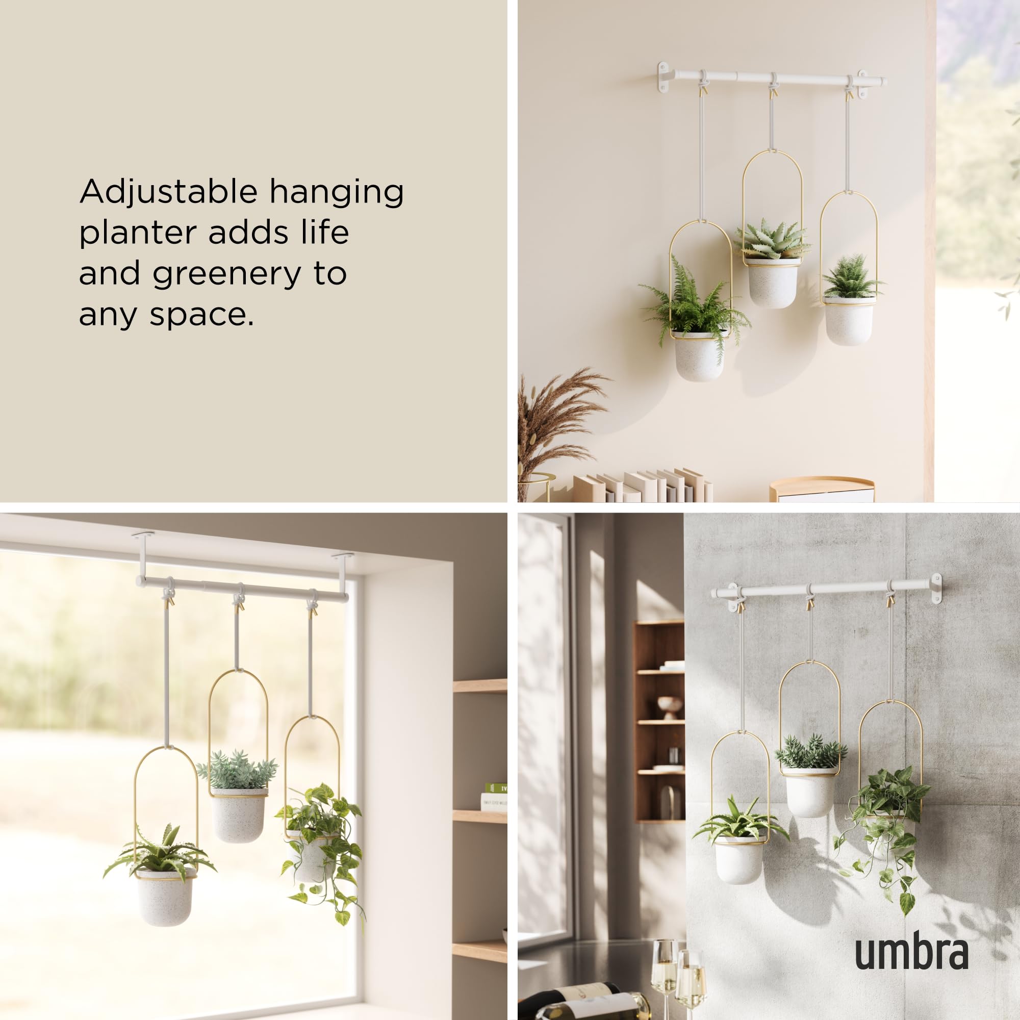 Umbra Triflora Hanging Planter for Window, Indoor Herb Garden, Set of 3, White/Brass