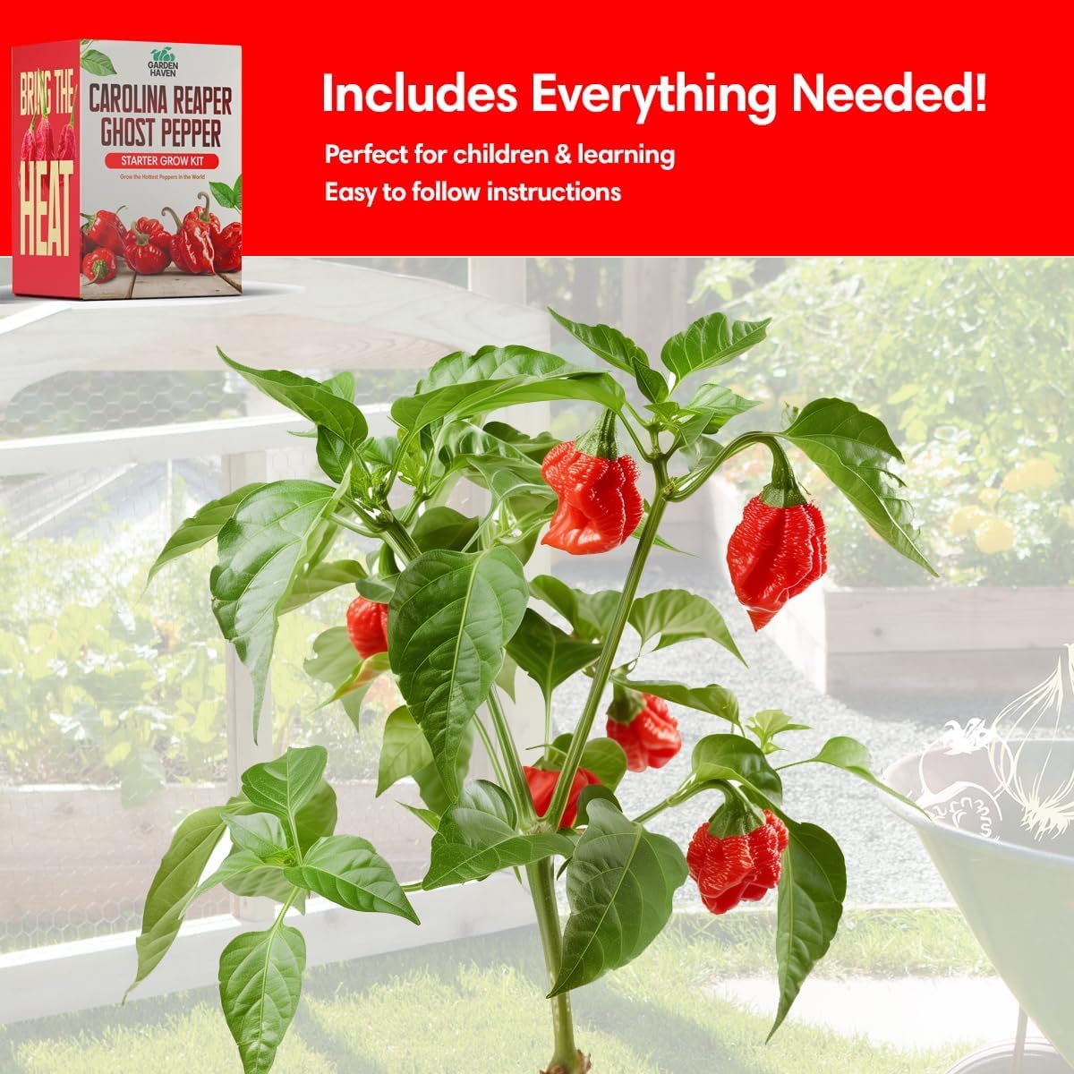 Carolina Reaper Ghost Pepper Grow Kit - All in One Starter Grow Kit - Bhut Jolokia Reaper Seeds, Grow The Hottest Peppers Garden Grow Kit Seeds Included